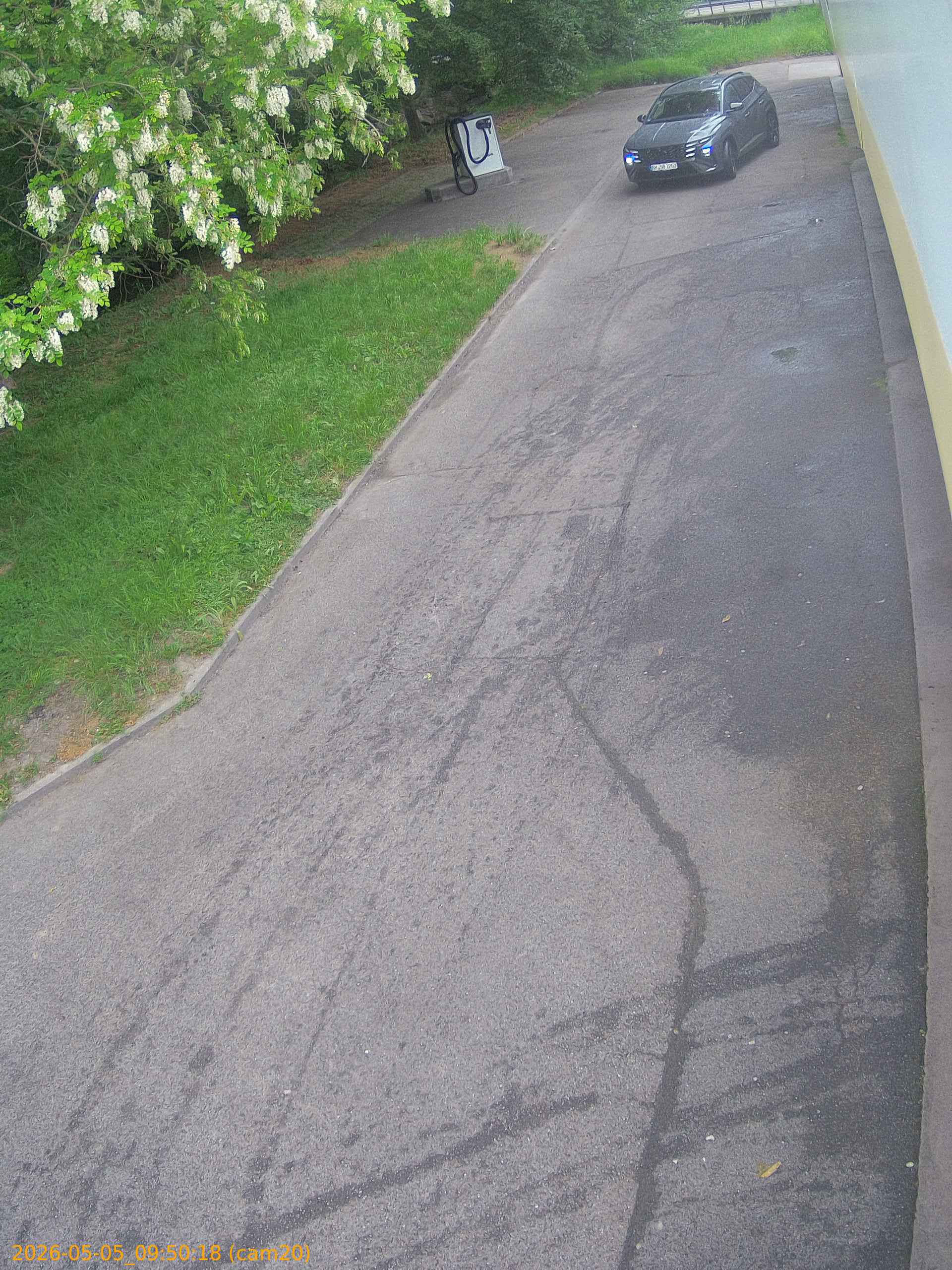 20260505095018