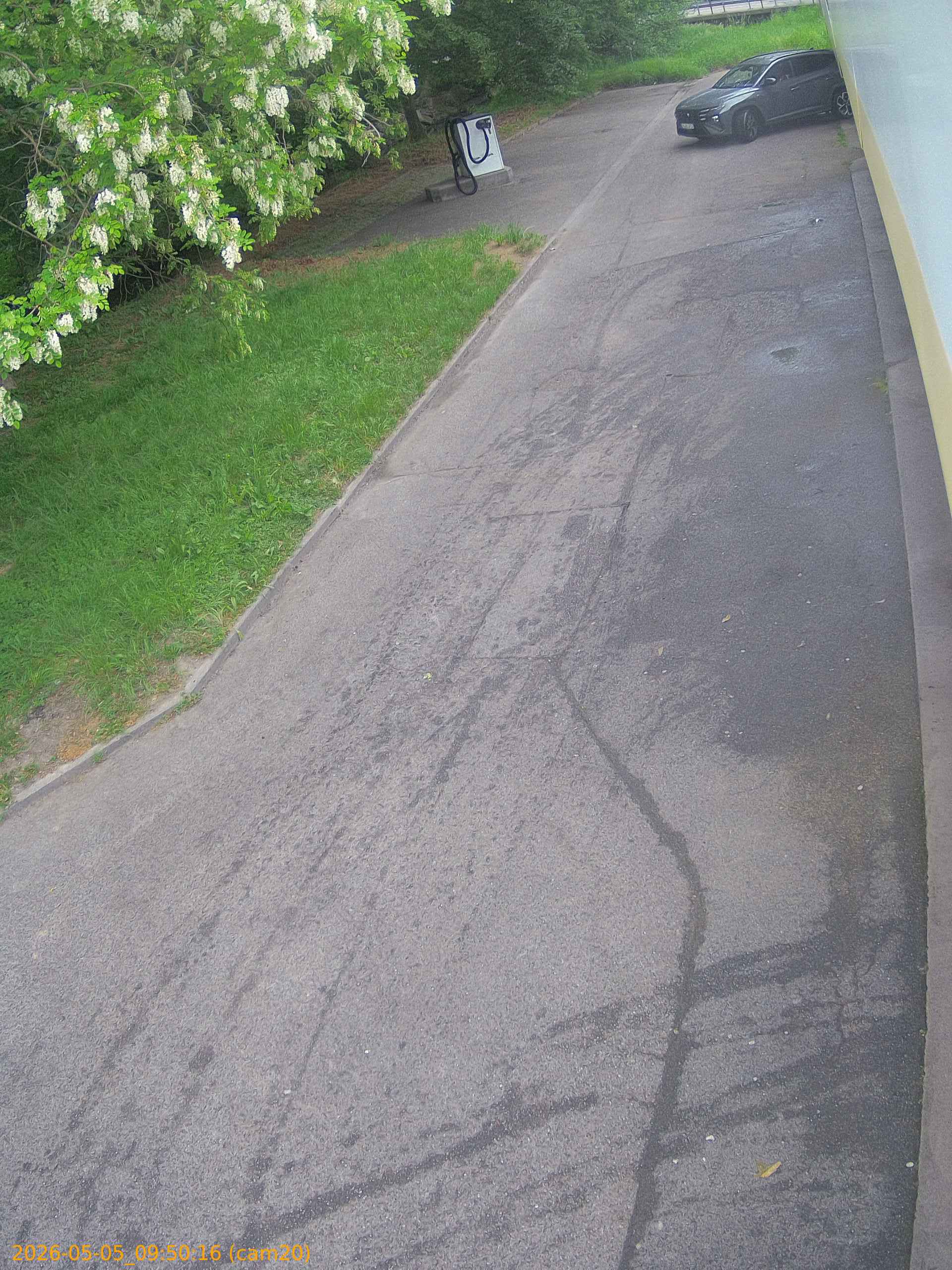 thumbnail_20260505095016