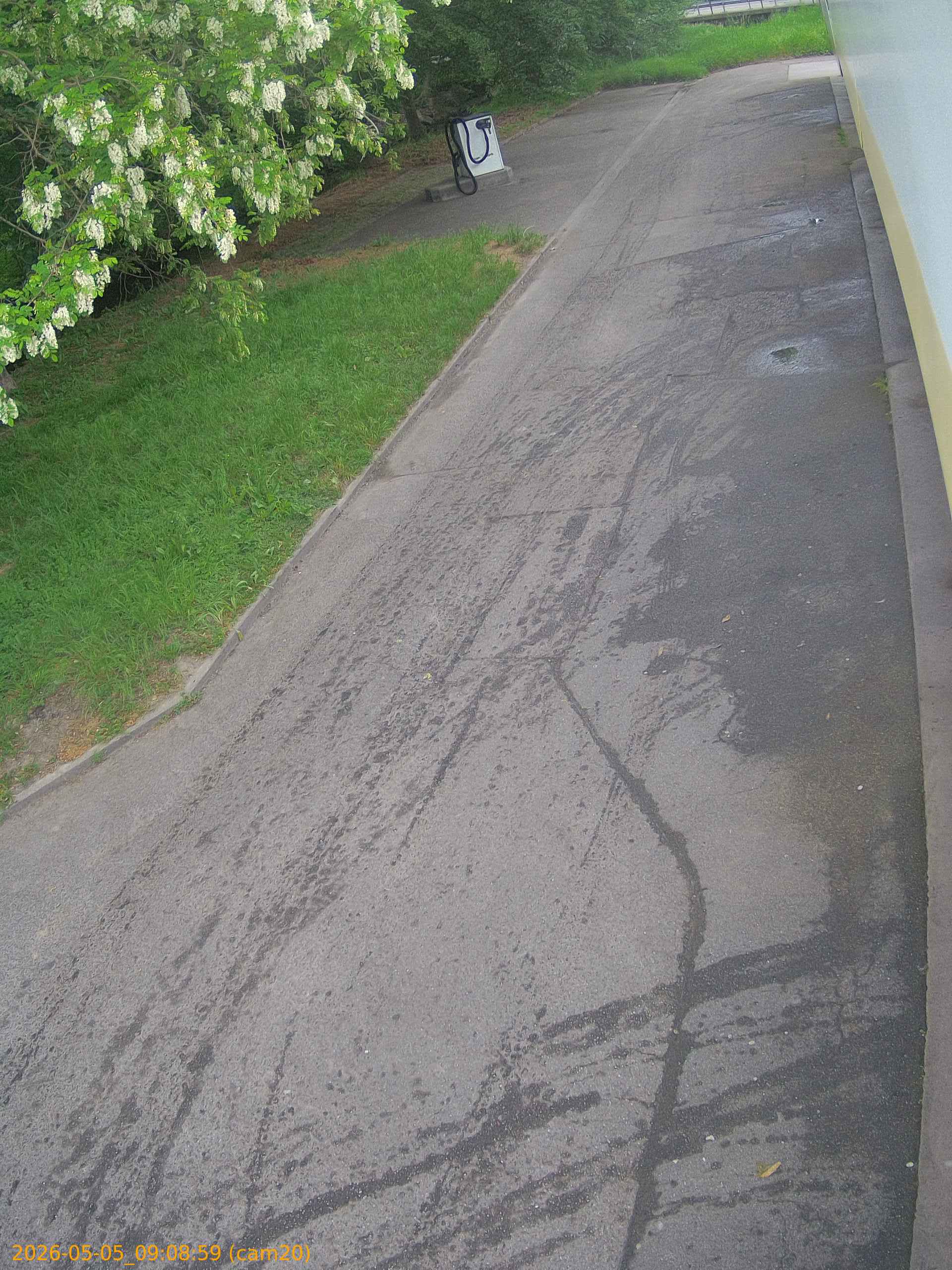 thumbnail_202605050908