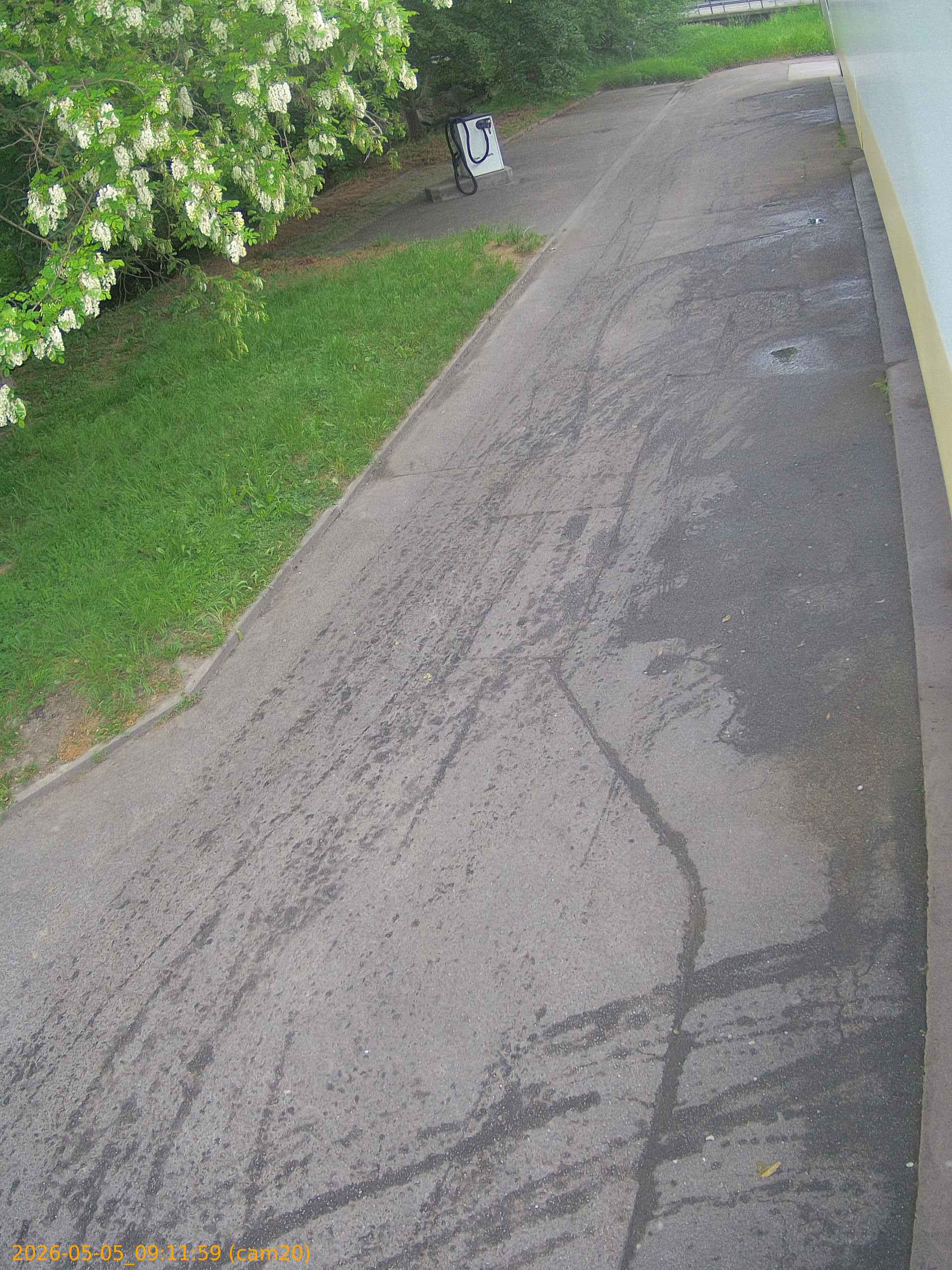 thumbnail_202605050911