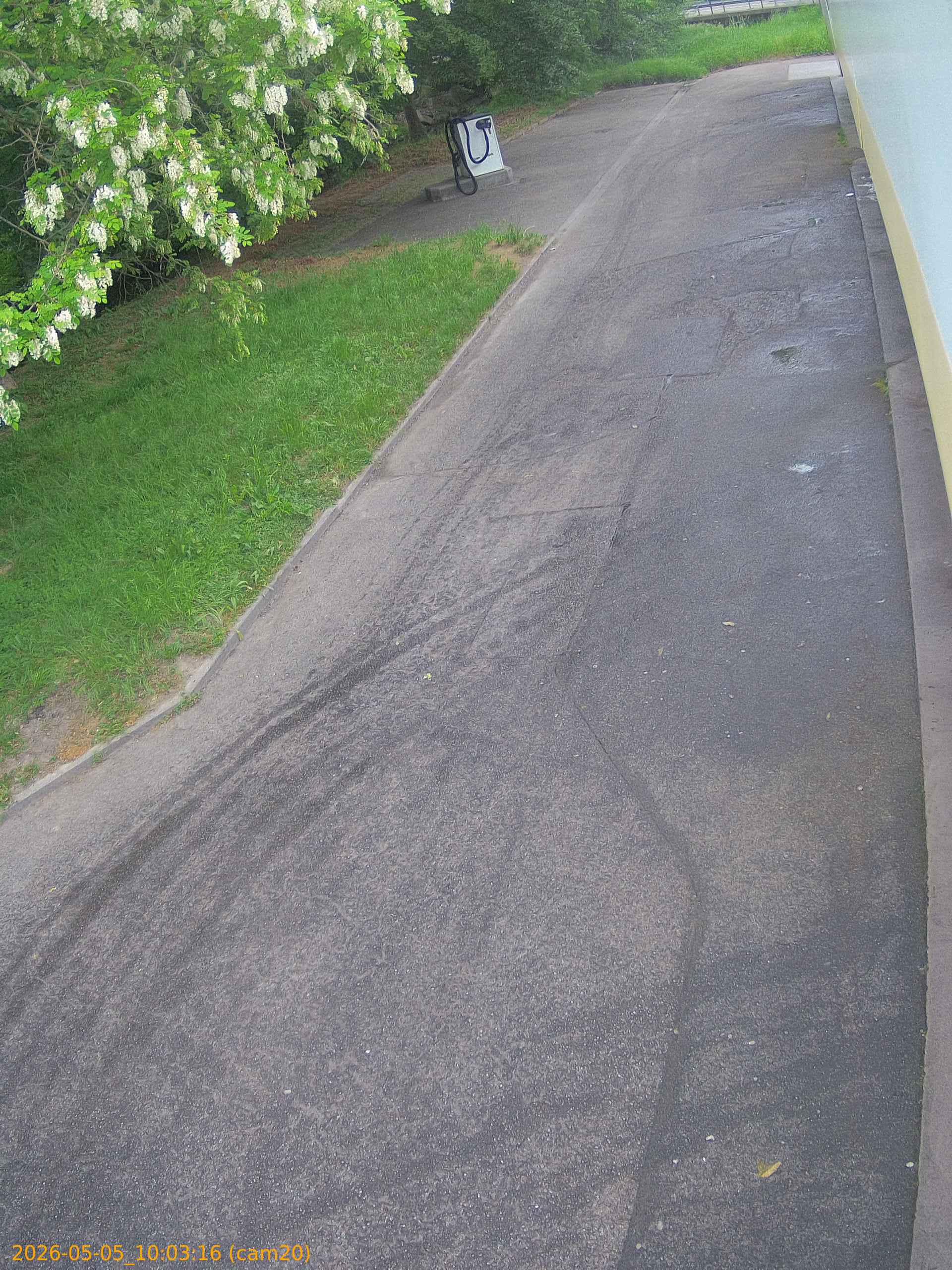 20260505100316