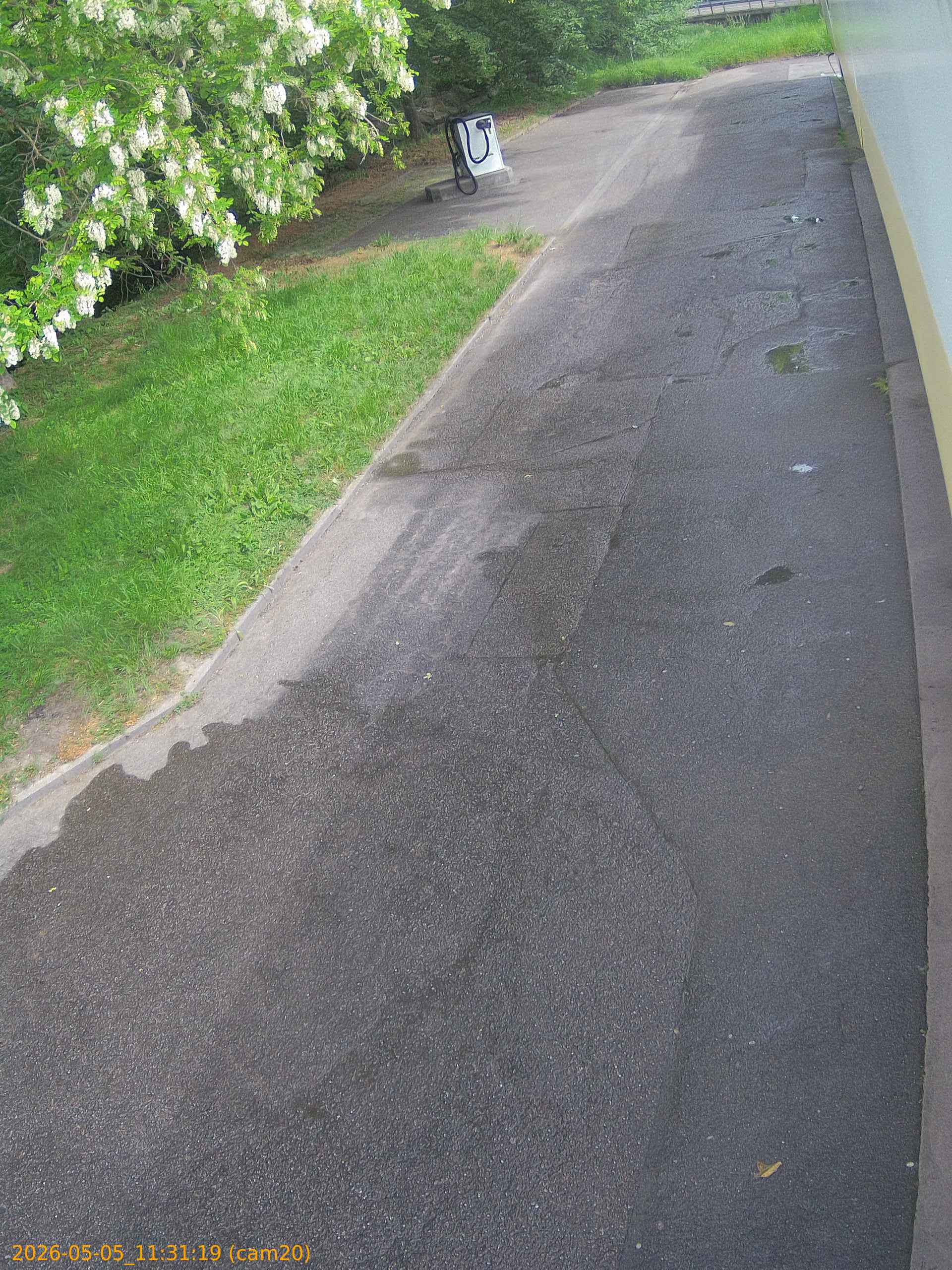 20260505113119
