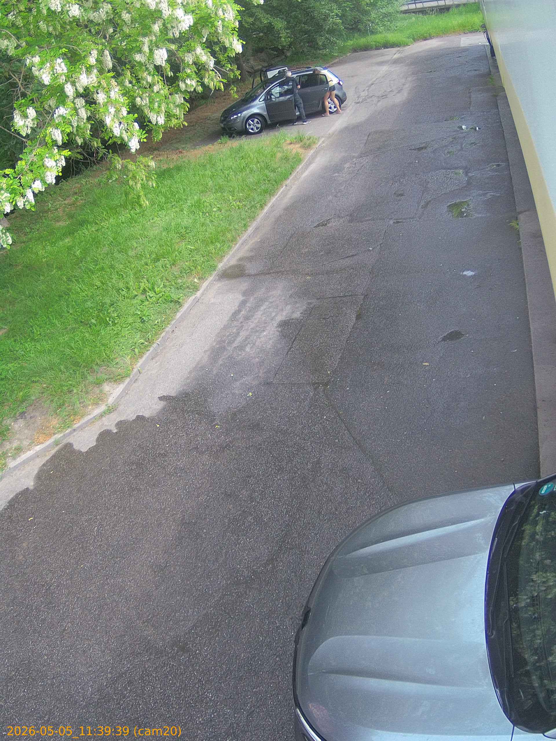 20260505113939