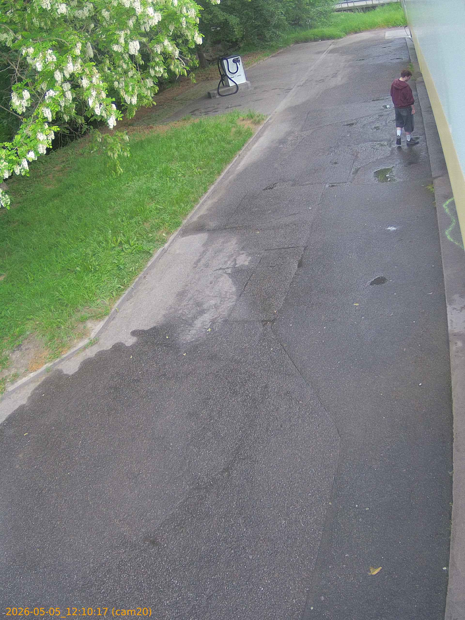 20260505121017