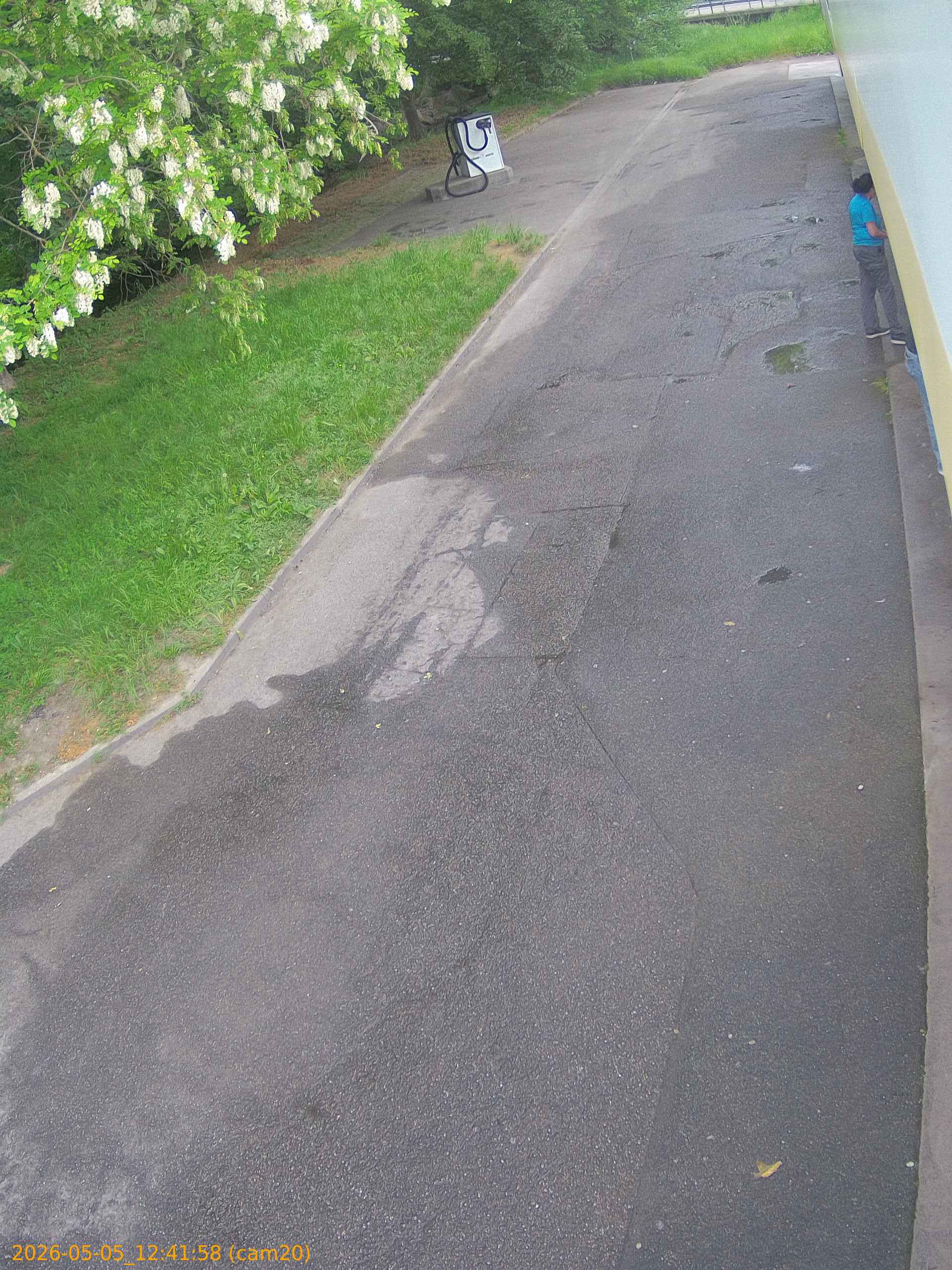 202605051241