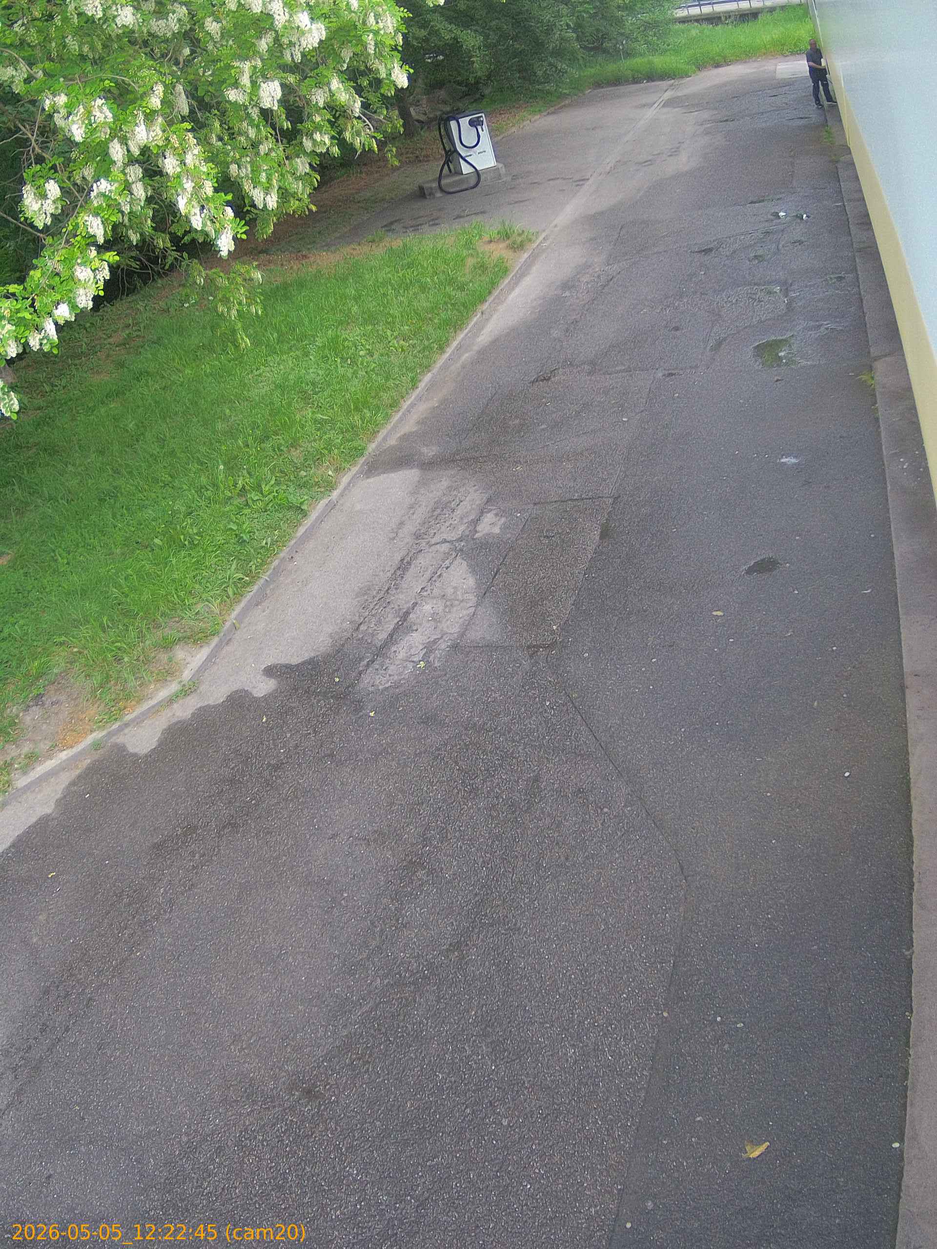 20260505122245