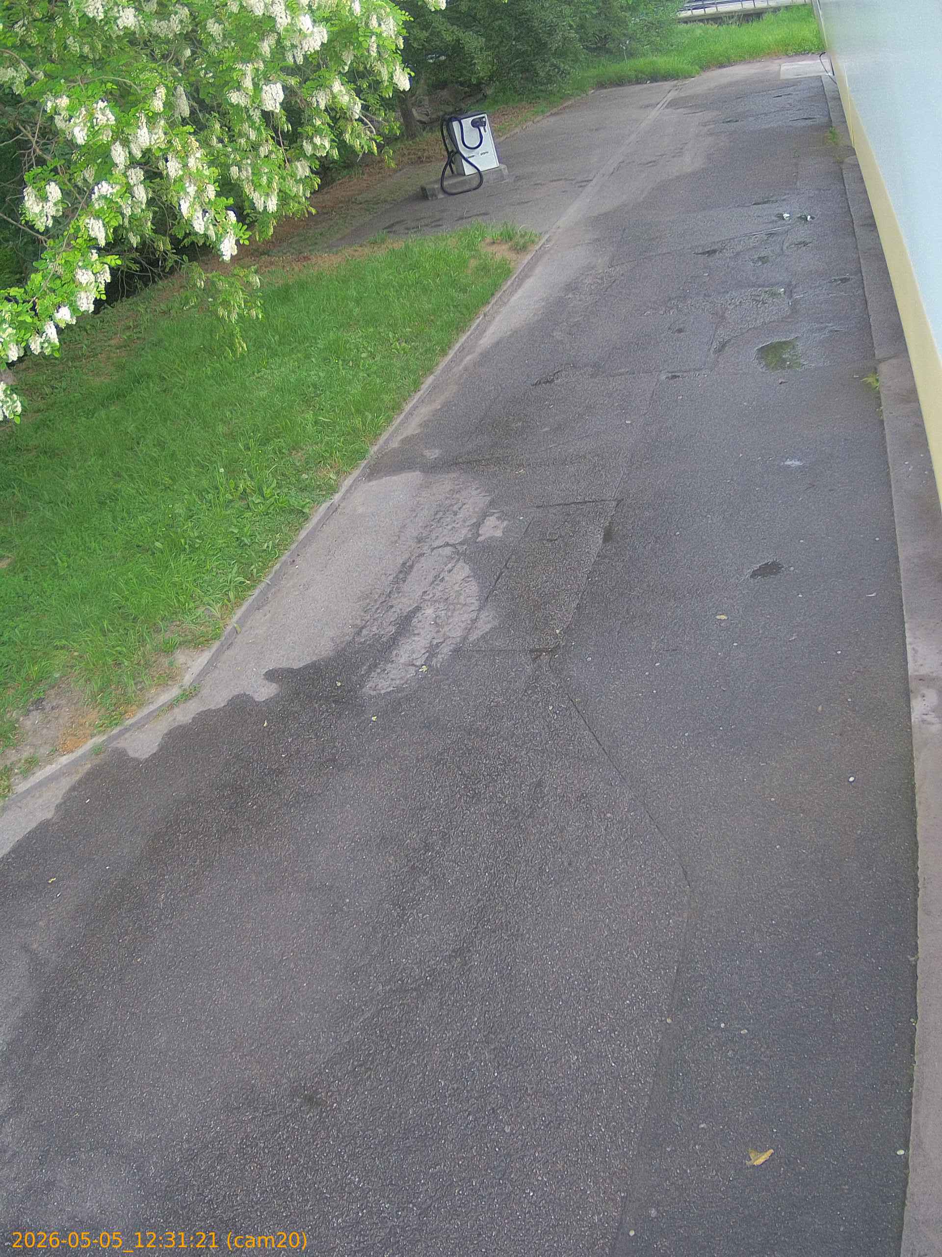 thumbnail_20260505123121