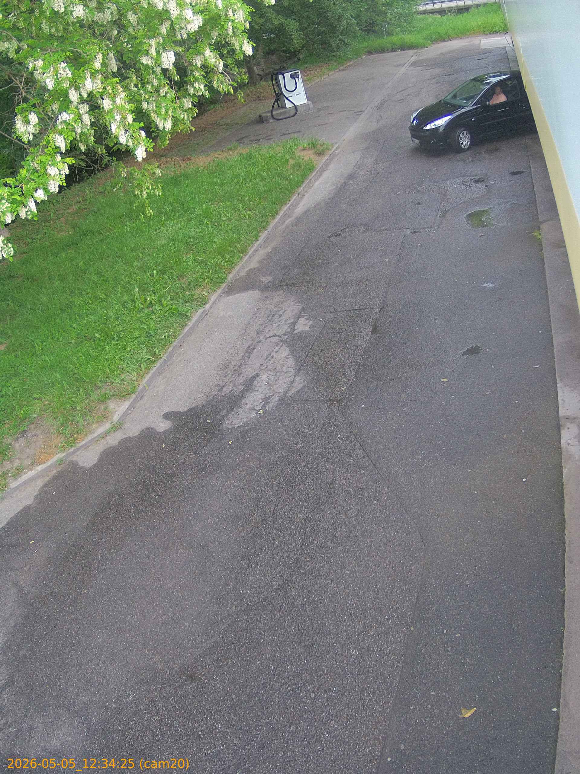 thumbnail_20260505123425