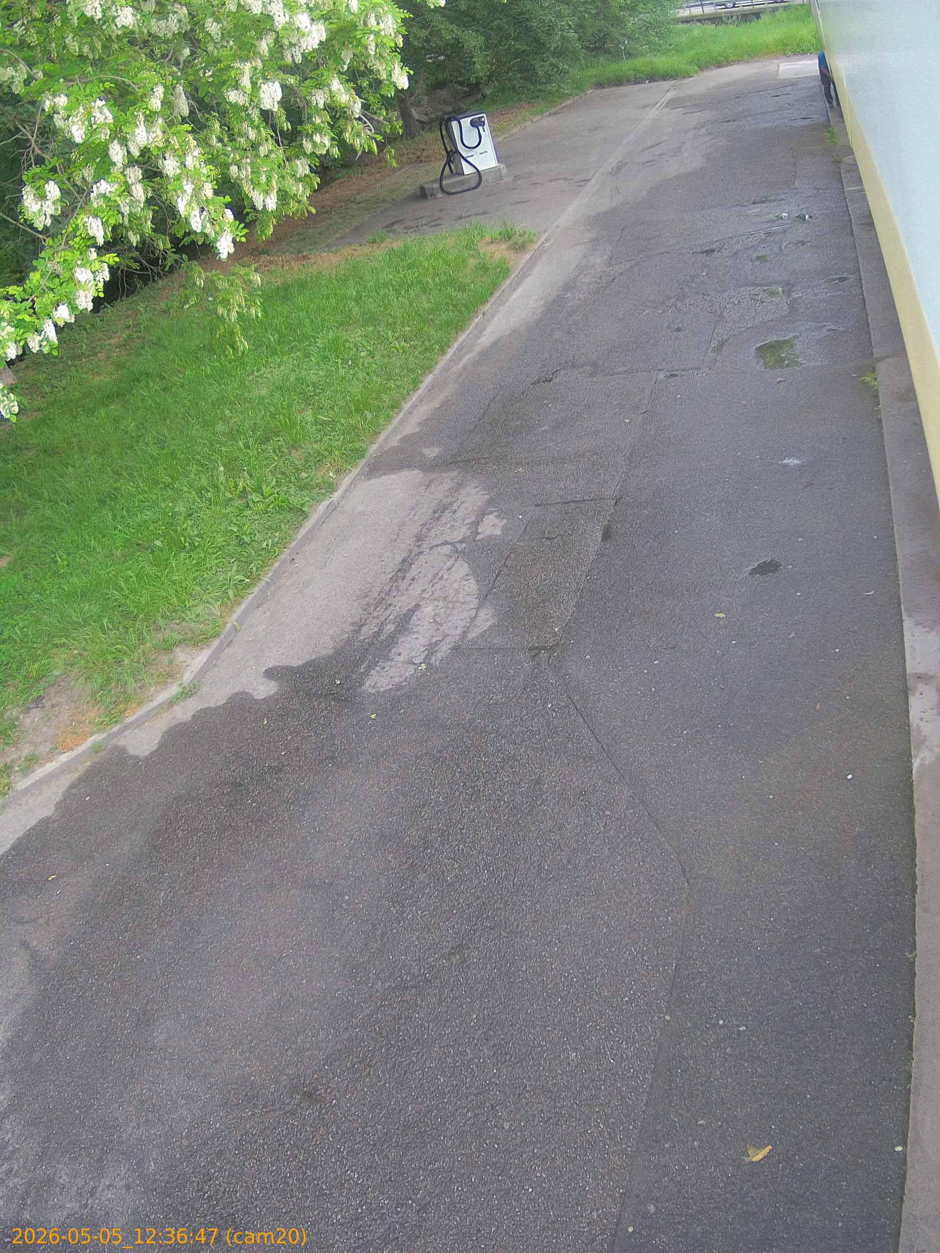 20260505123647