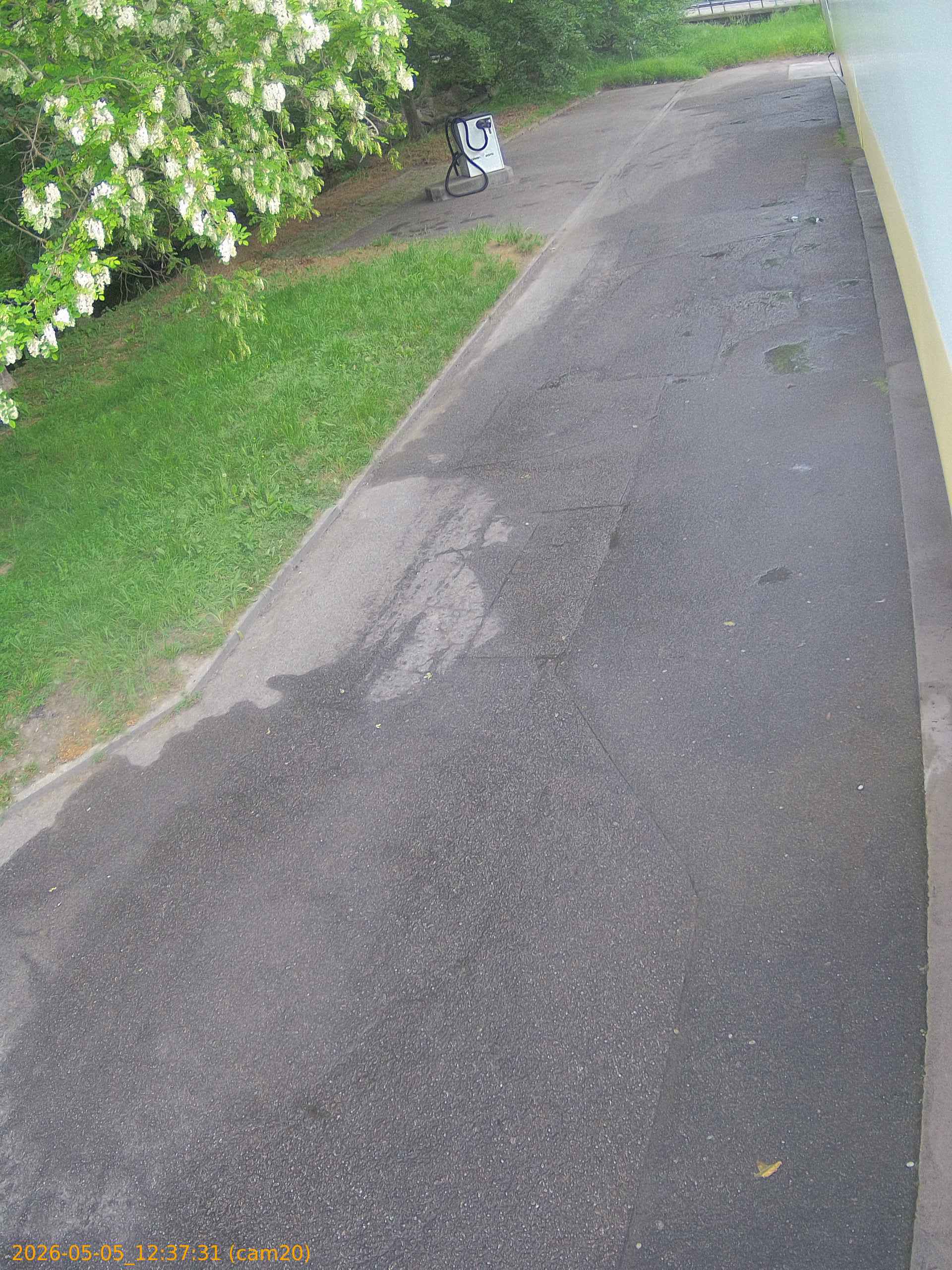 20260505123731