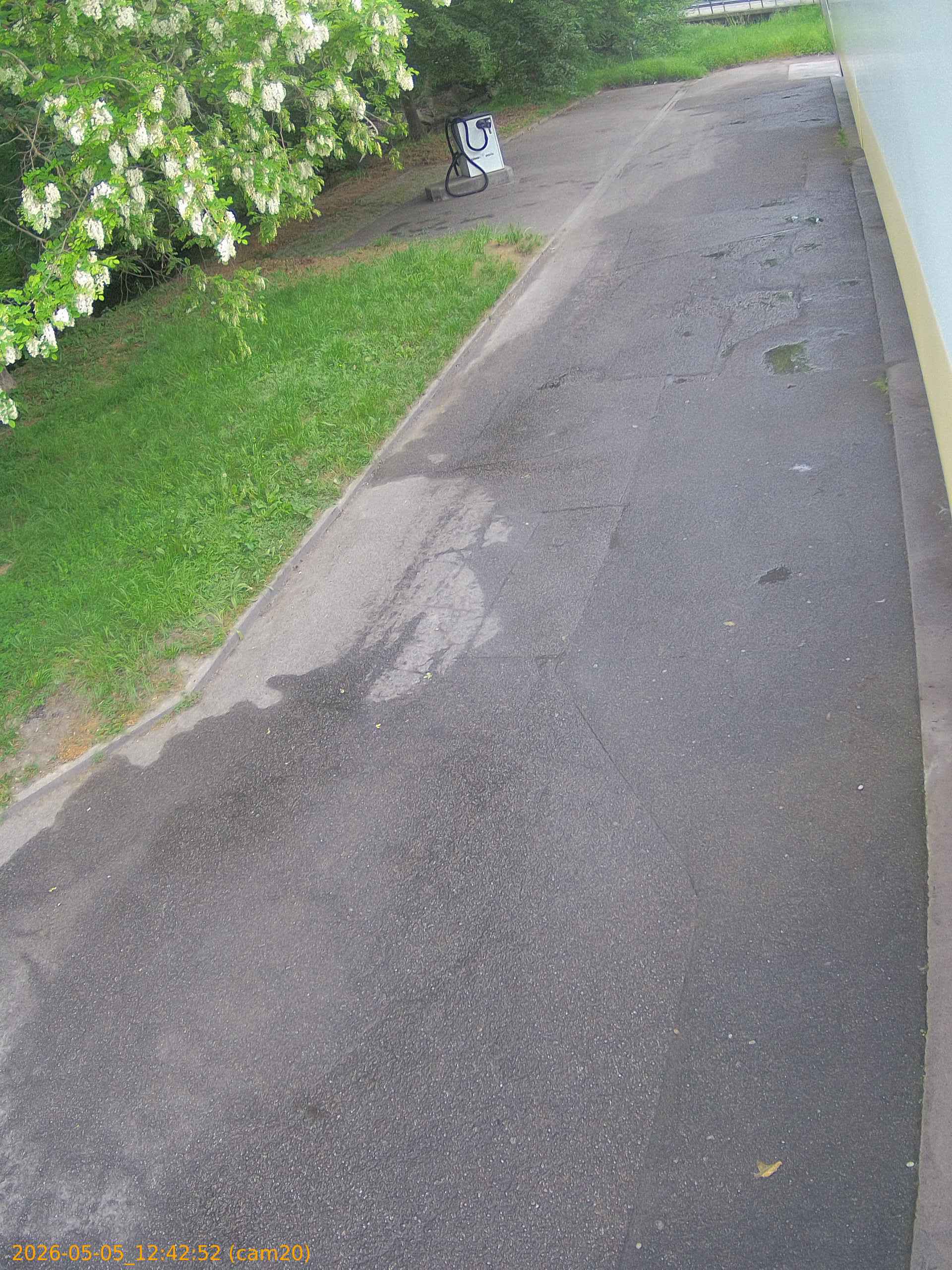 20260505124252