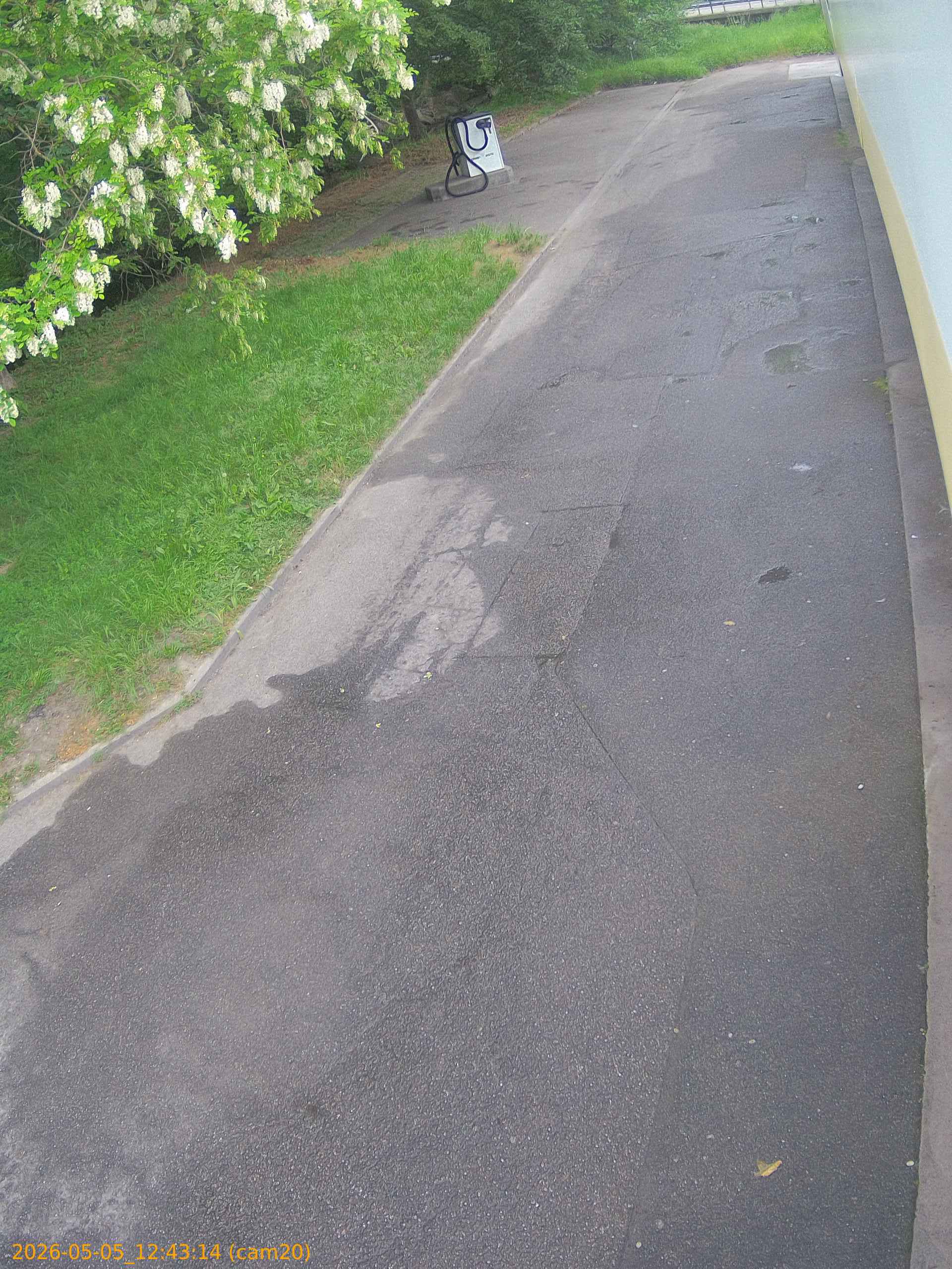 20260505124314