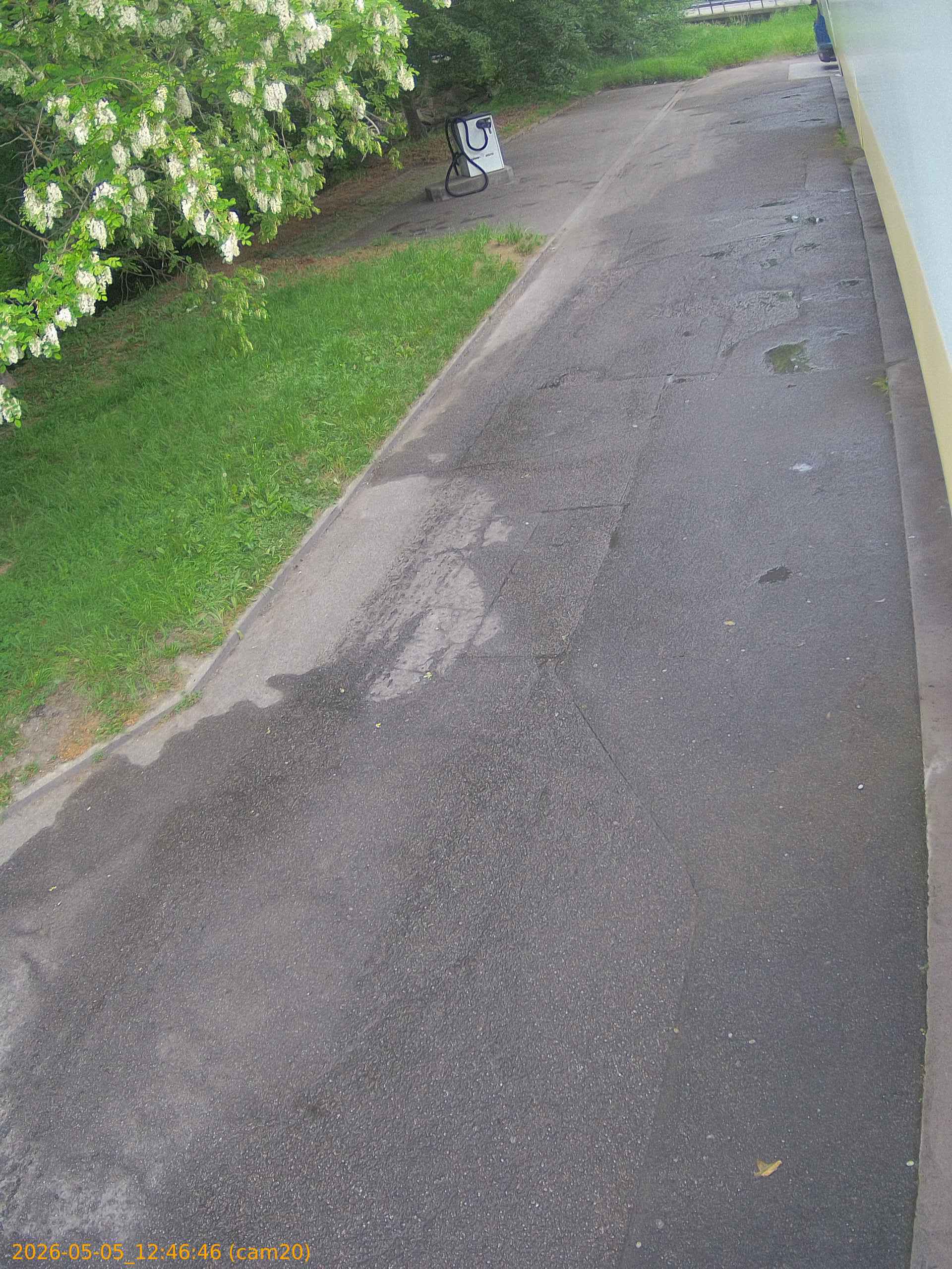 thumbnail_20260505124646