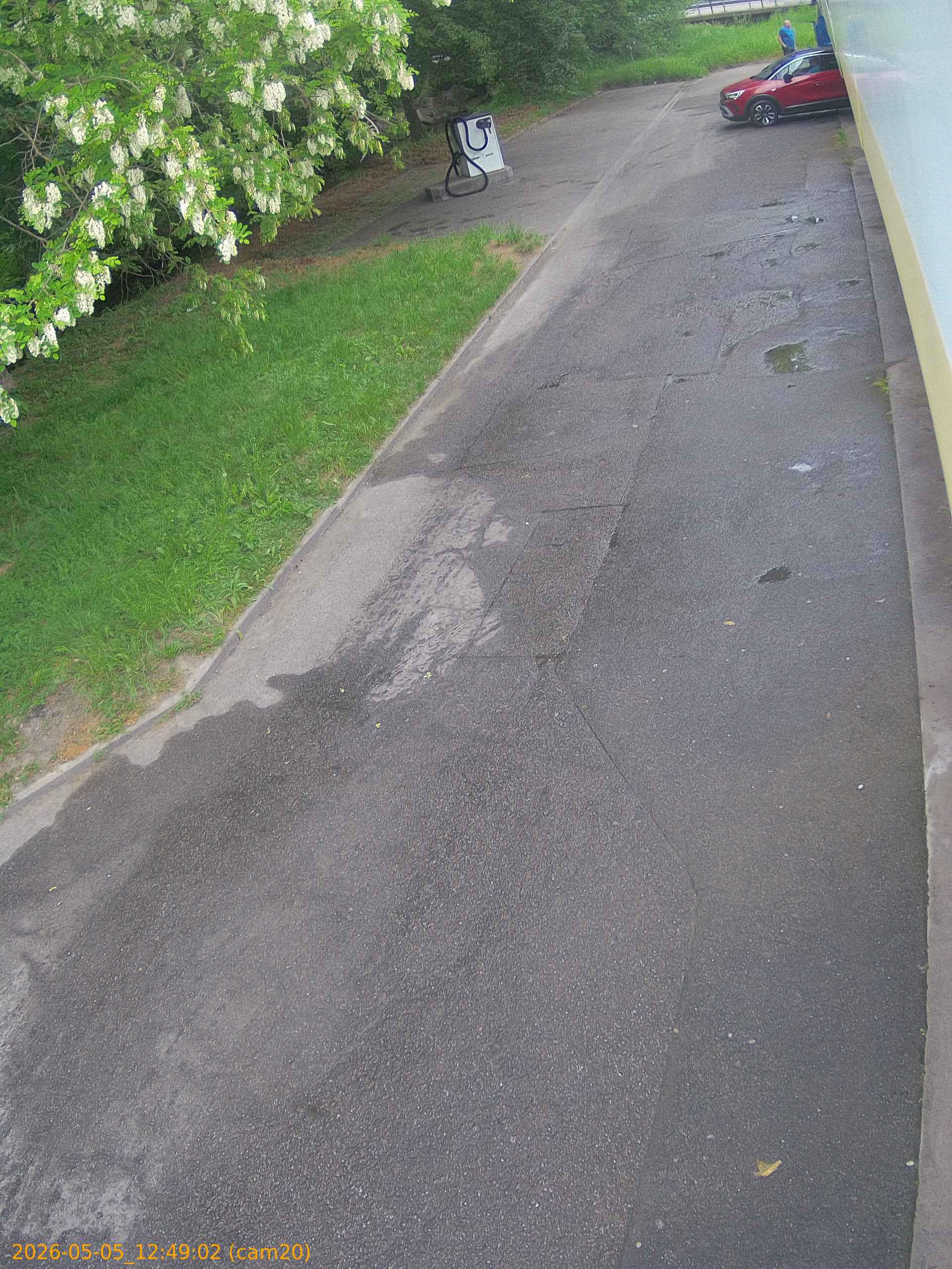 20260505124902