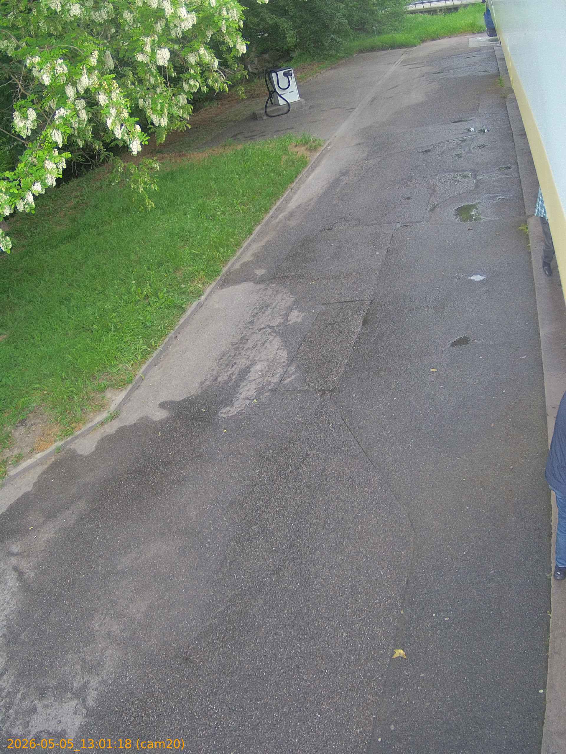 thumbnail_20260505130118