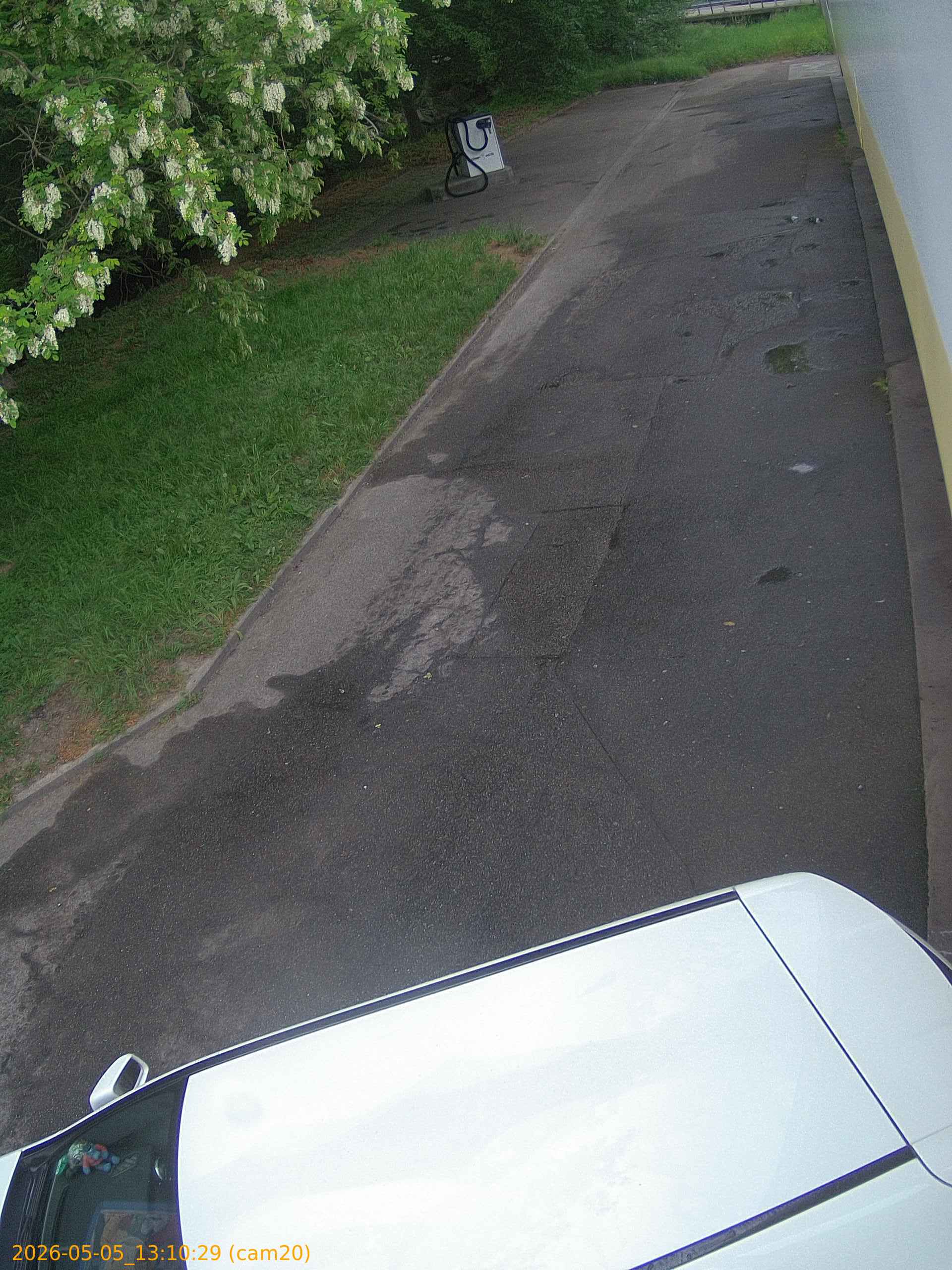 thumbnail_20260505131029