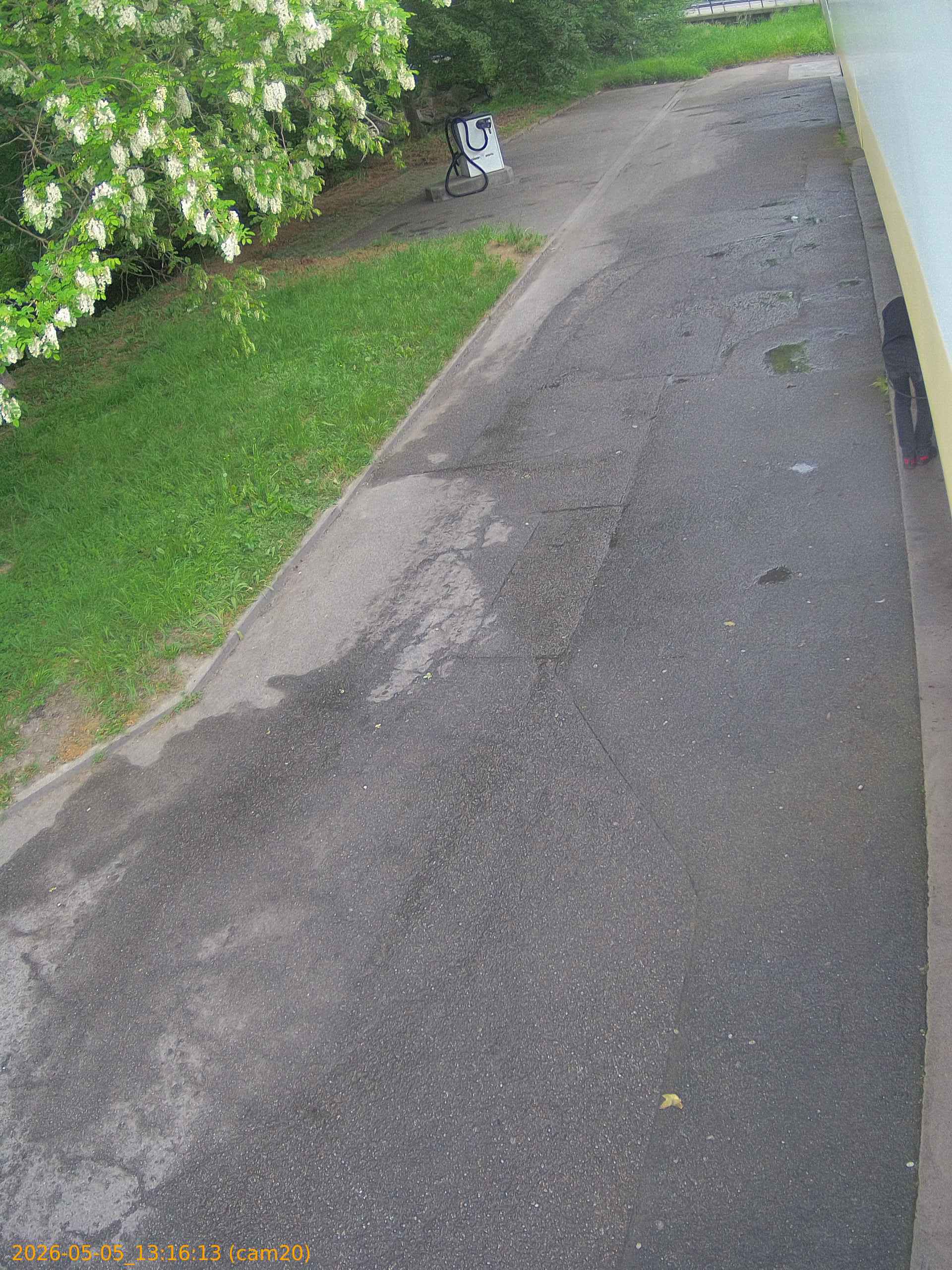 thumbnail_20260505131613