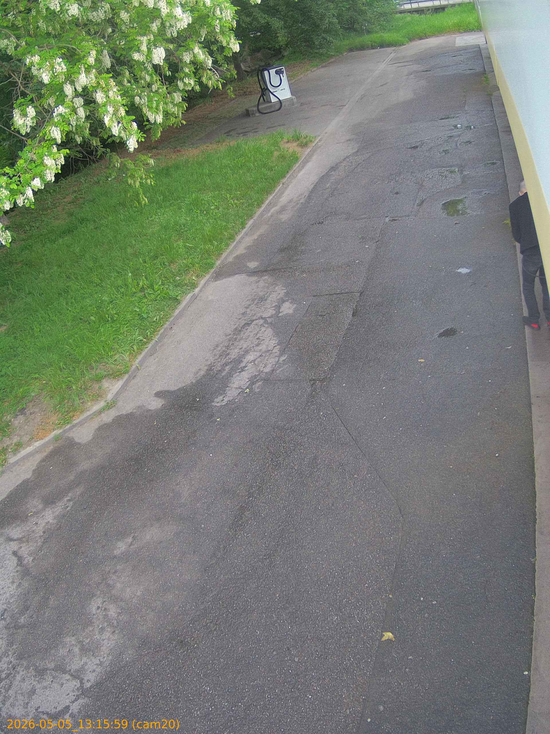 202605051315