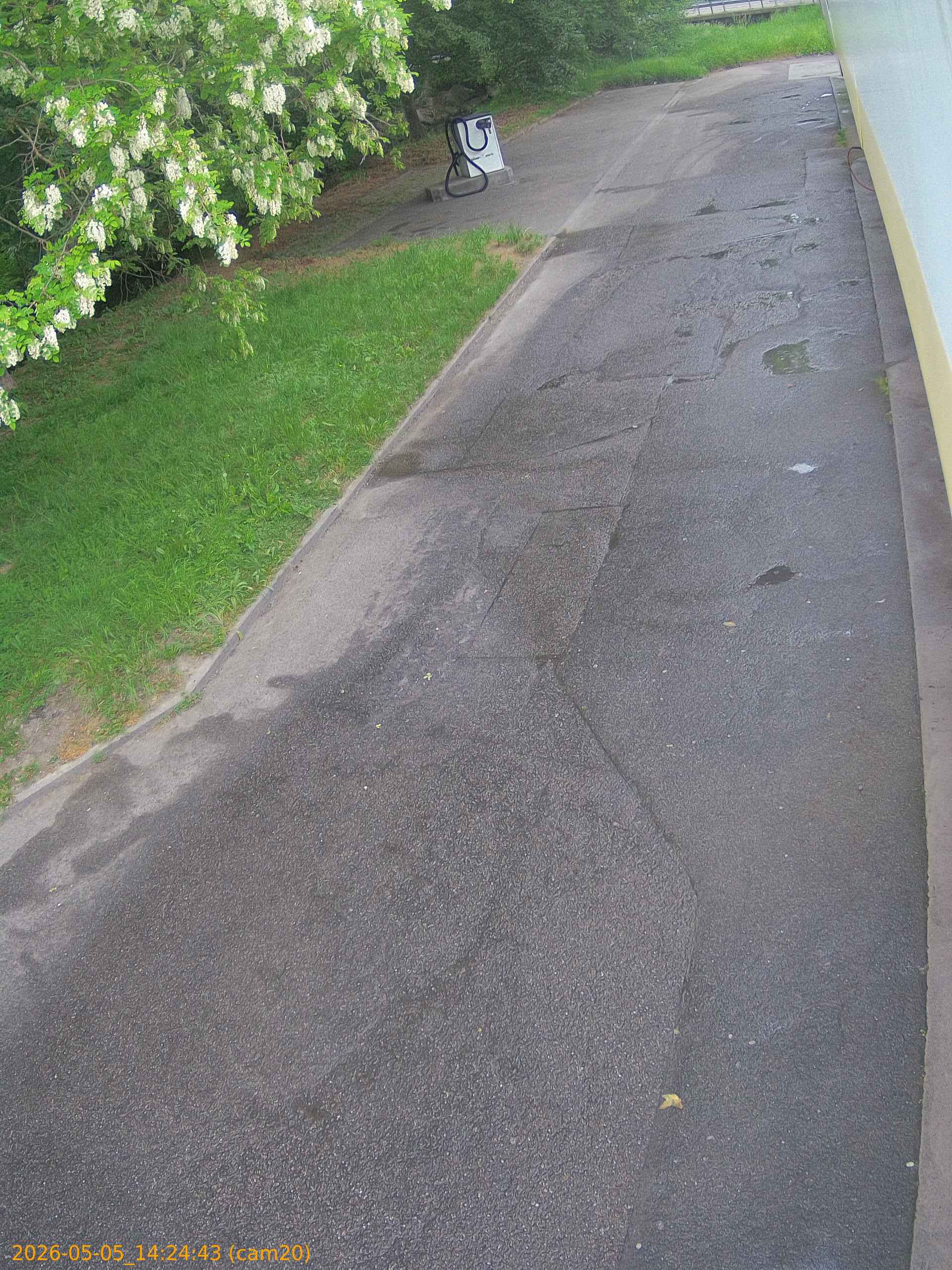 thumbnail_20260505142443