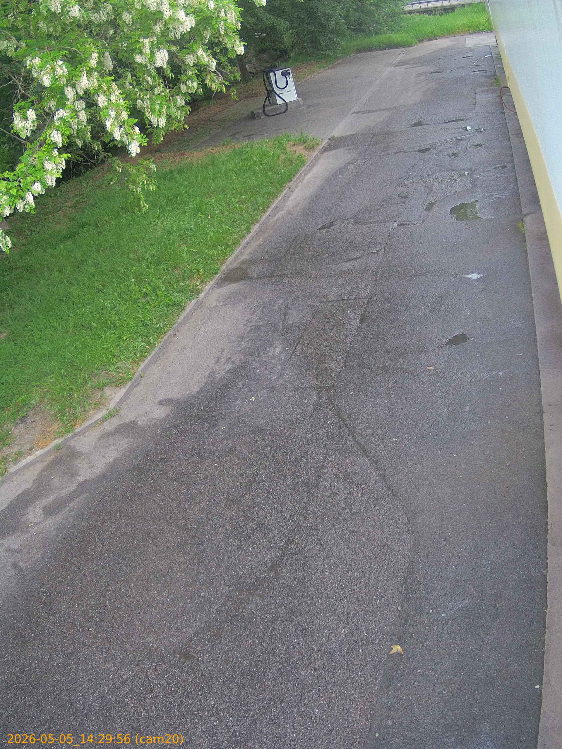 thumbnail_20260505142956