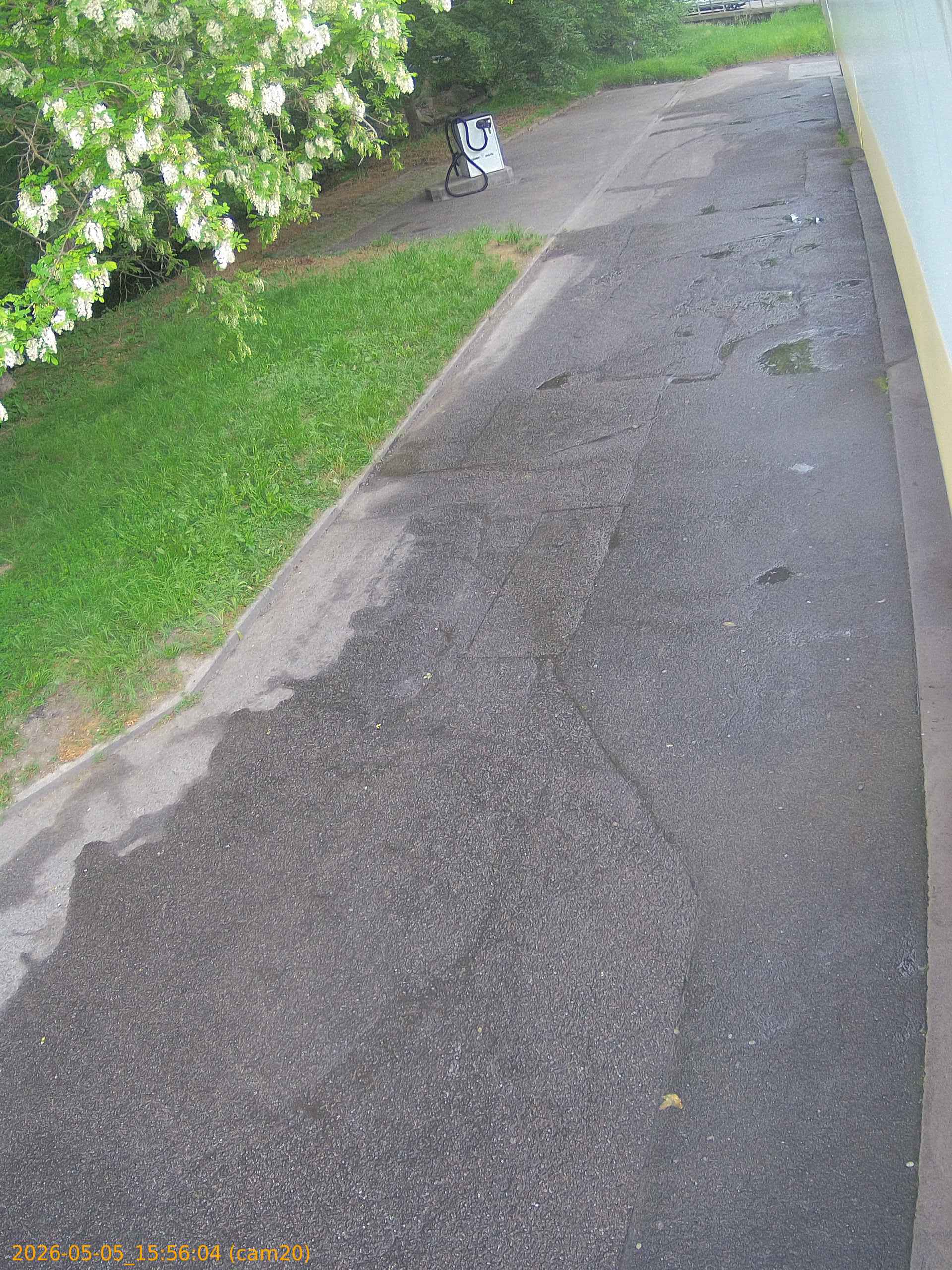 20260505155604