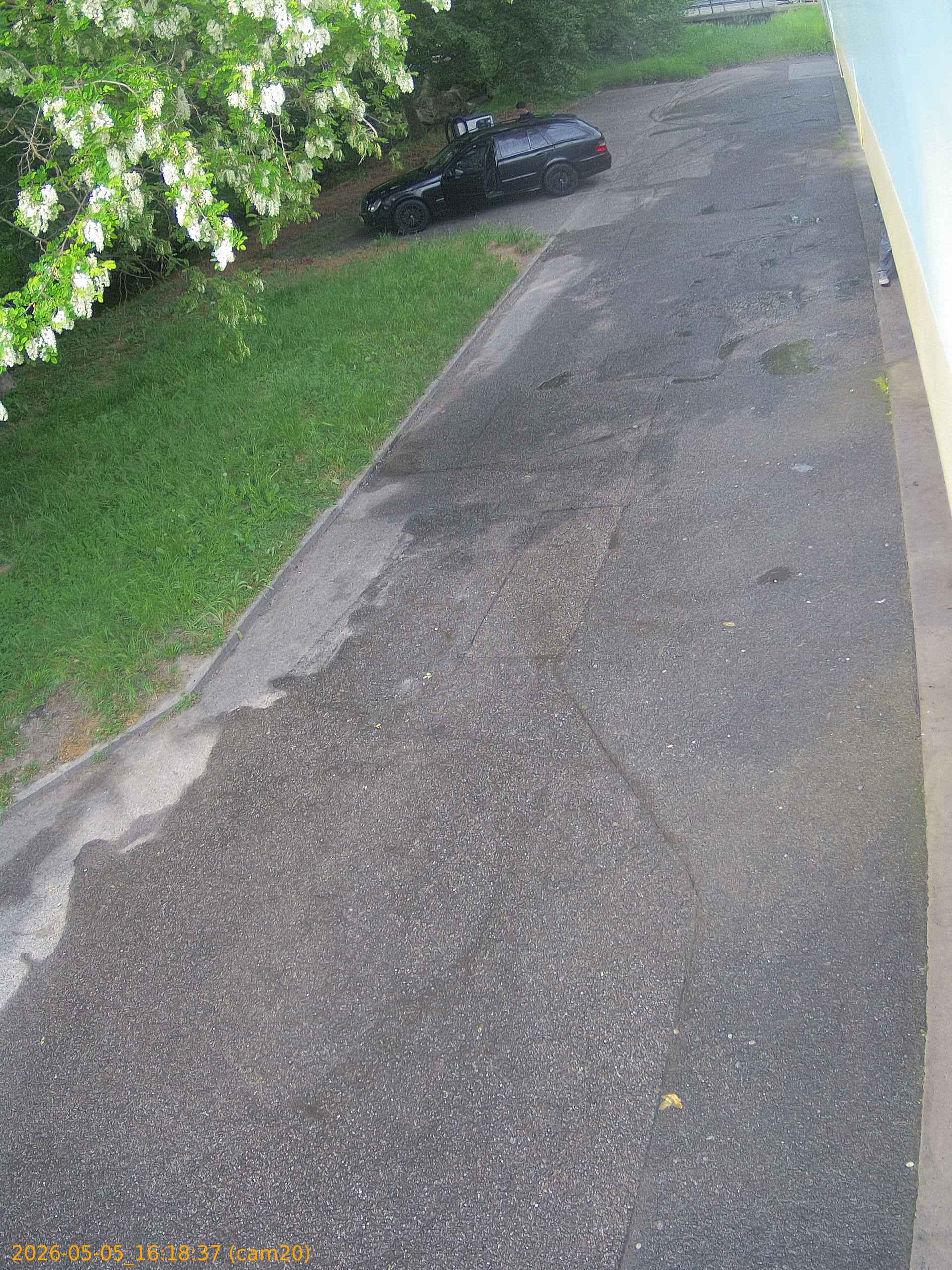 thumbnail_20260505161837