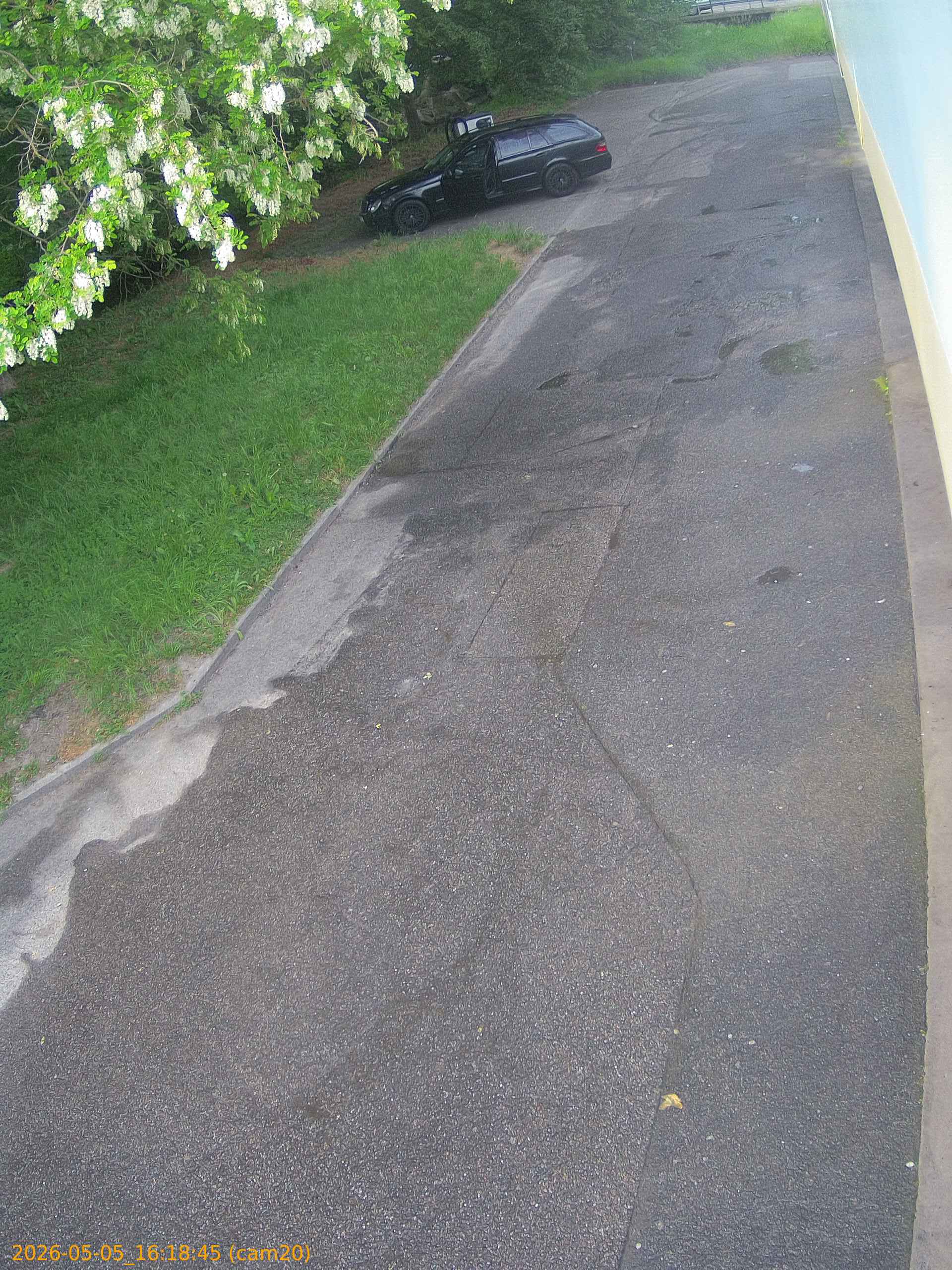 thumbnail_20260505161845