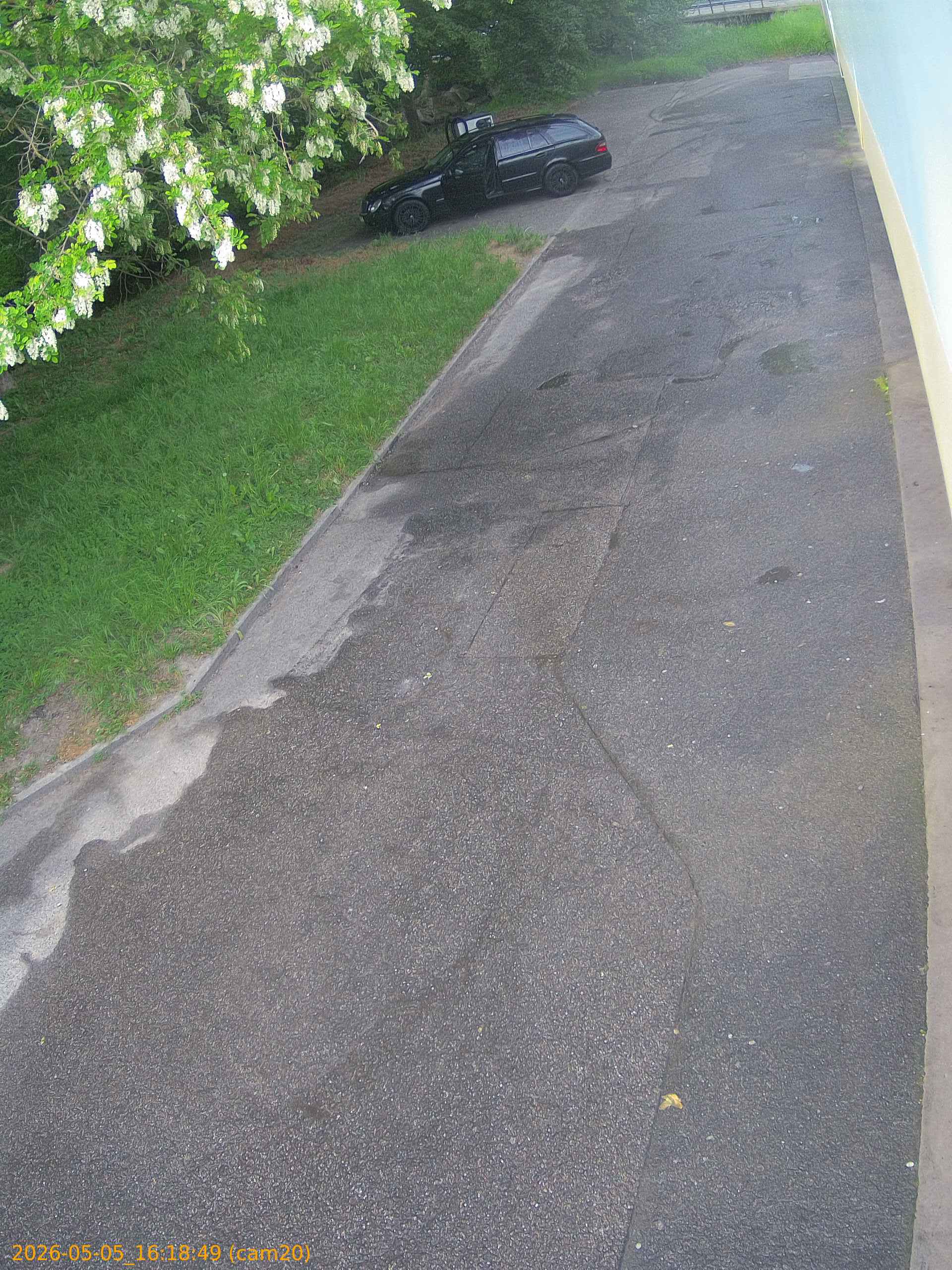 thumbnail_20260505161849