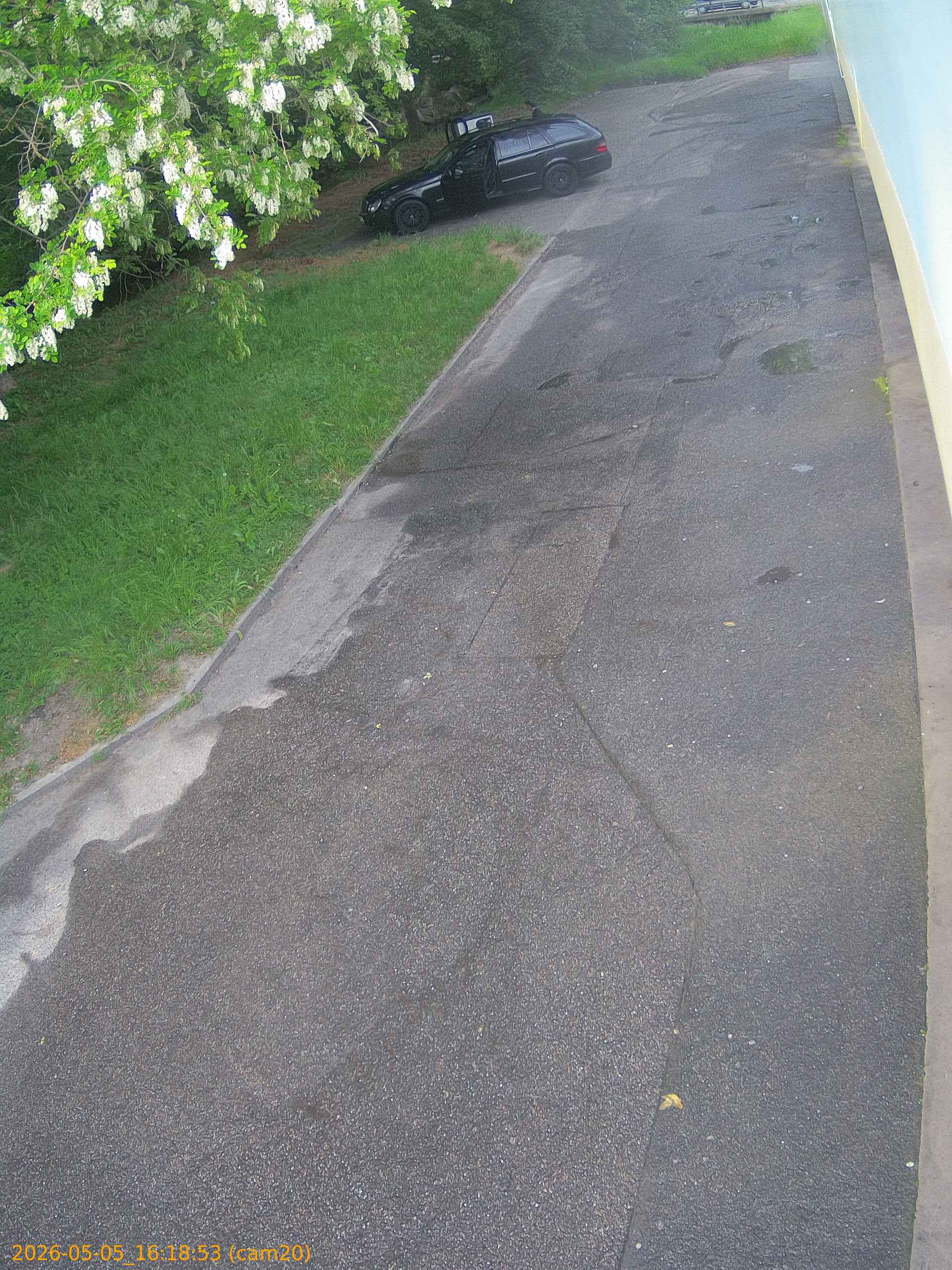 thumbnail_20260505161853