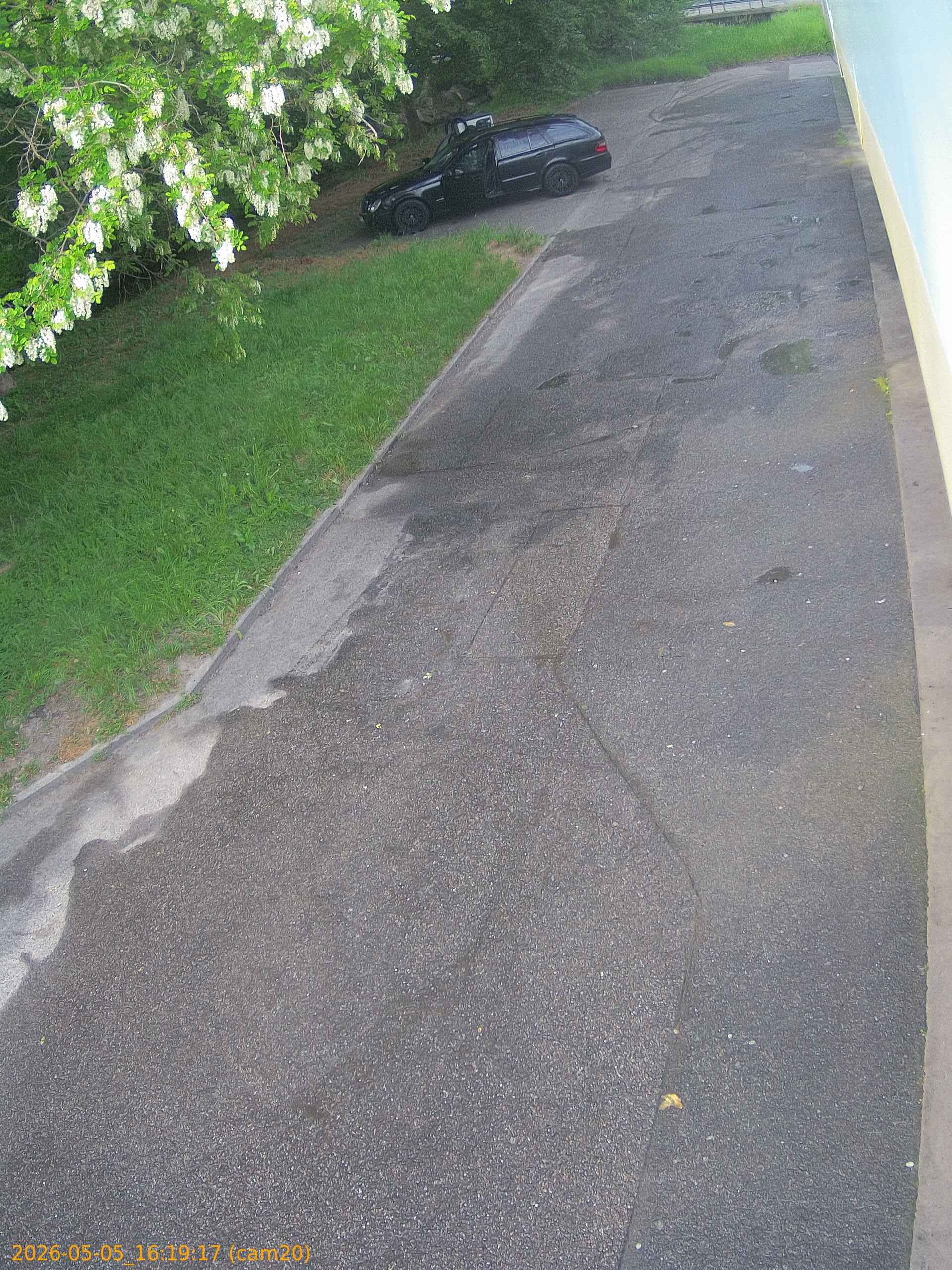 20260505161917