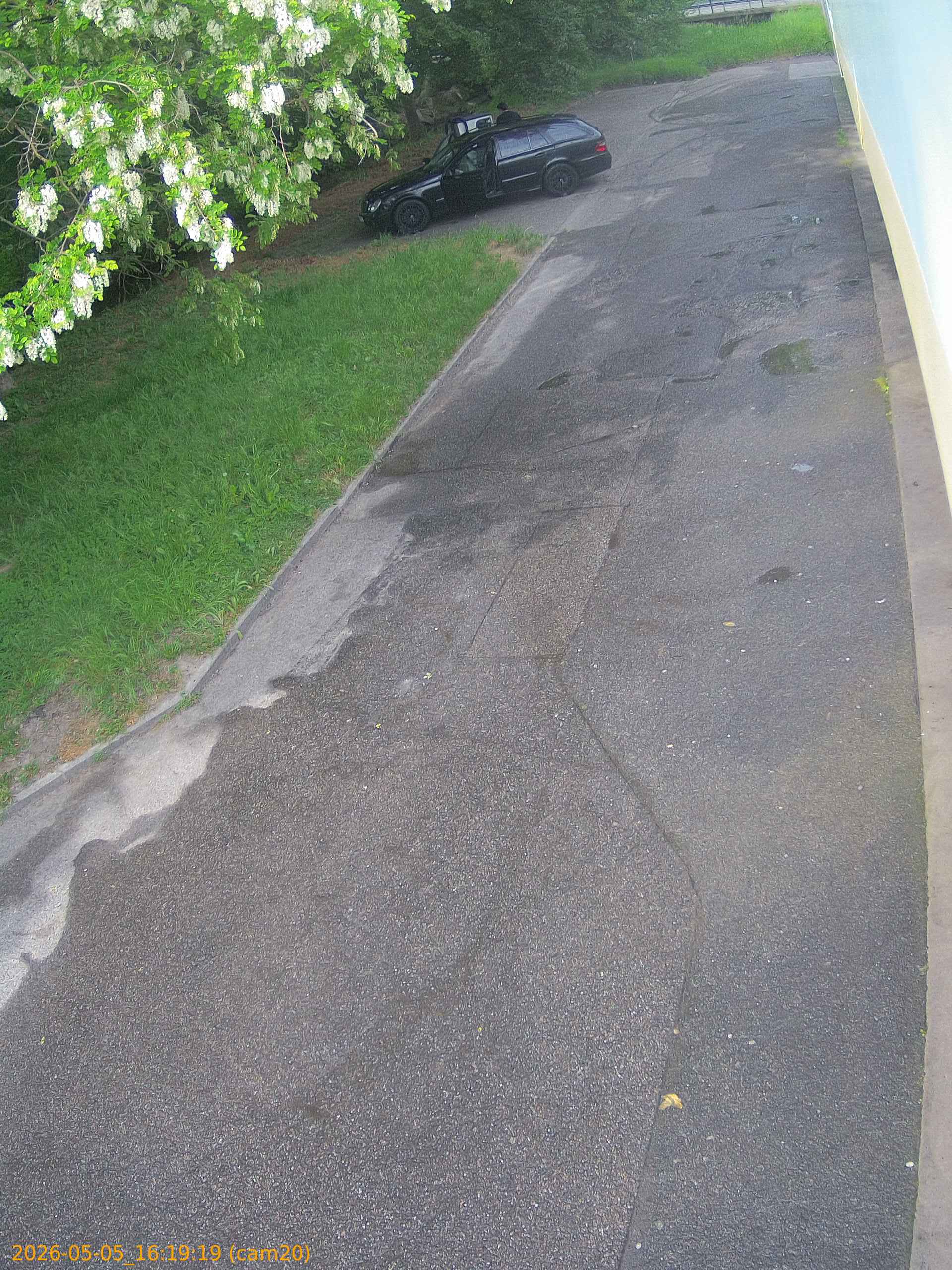 thumbnail_20260505161919