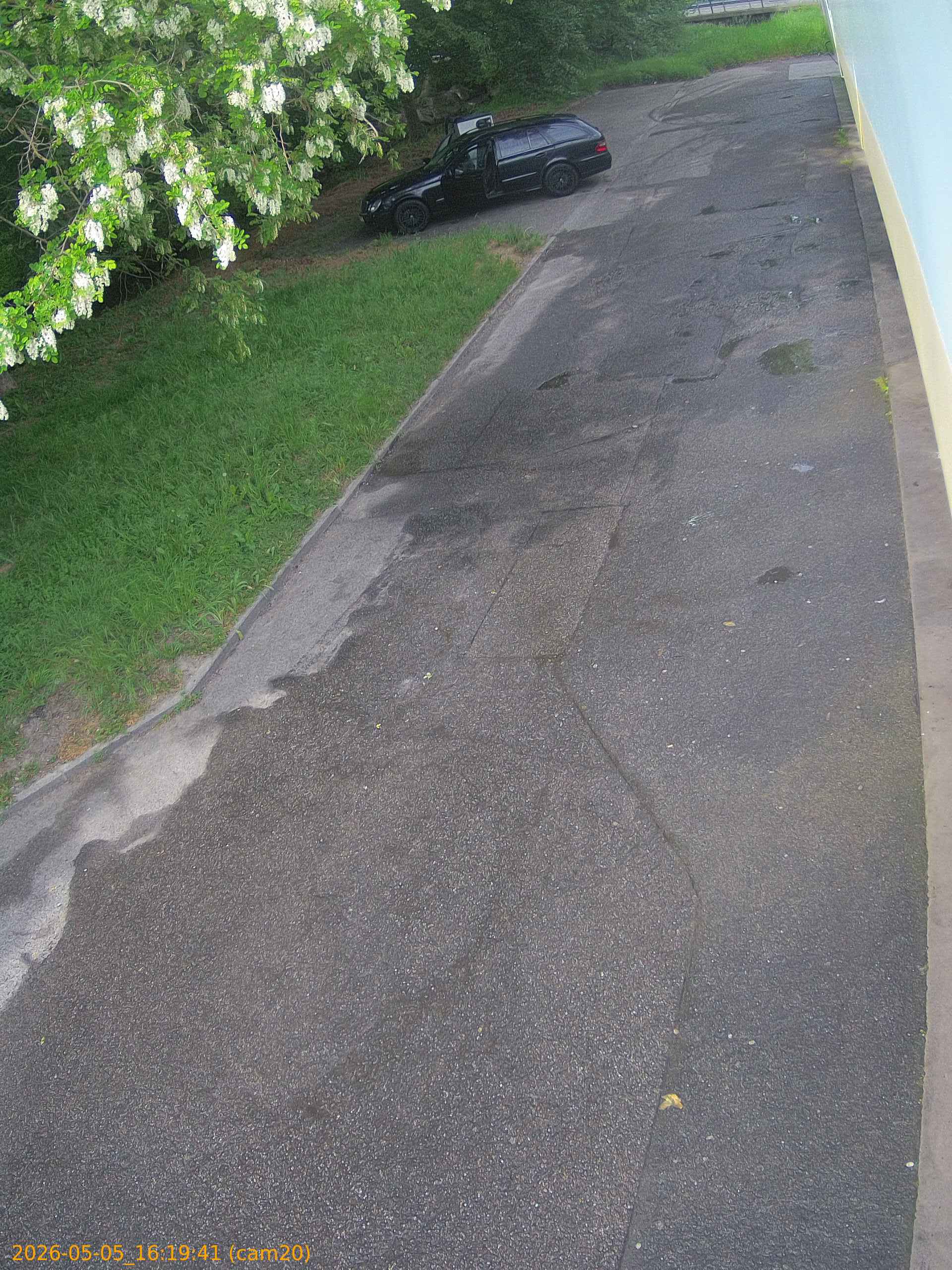thumbnail_20260505161941