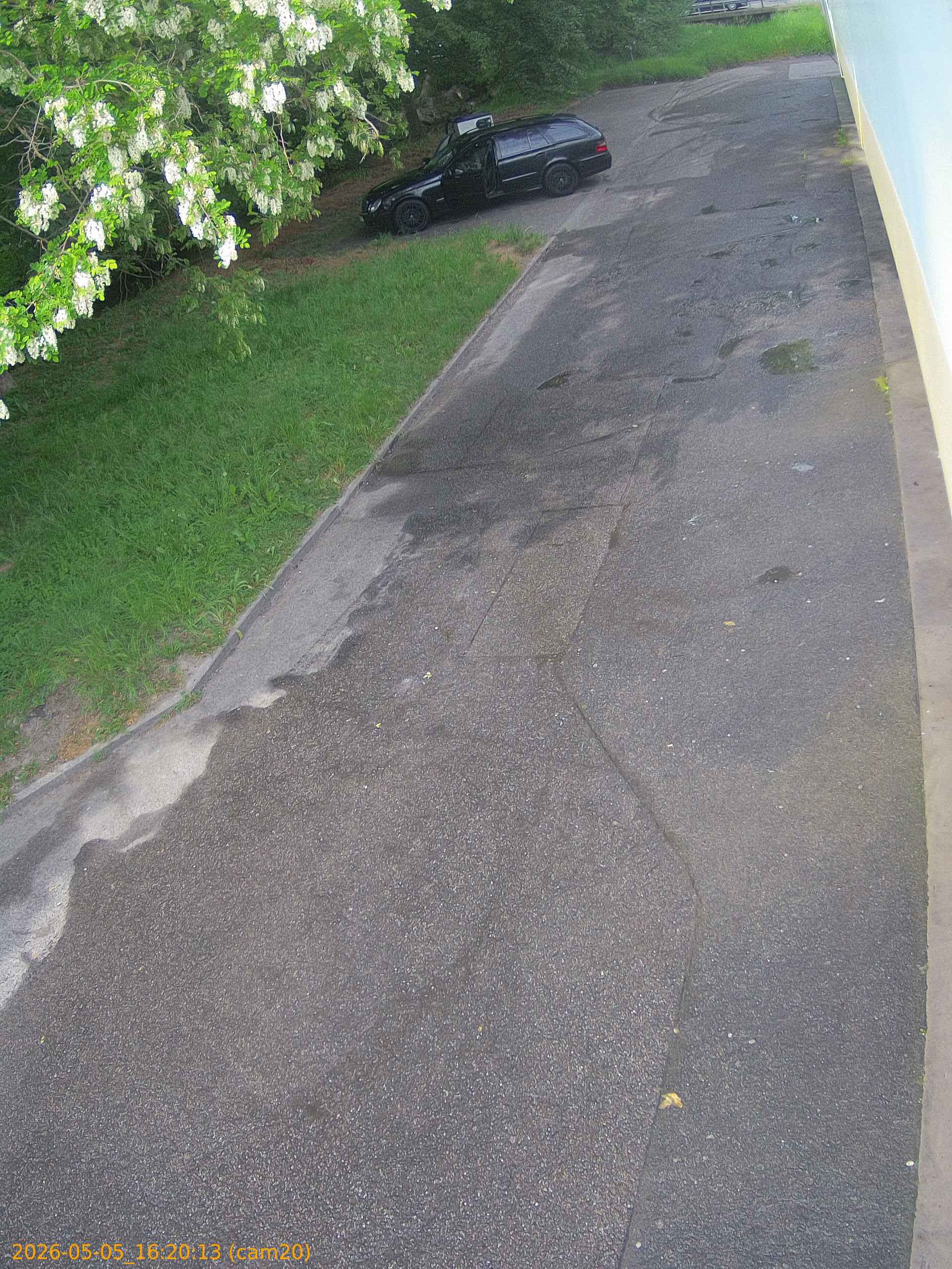 thumbnail_20260505162013