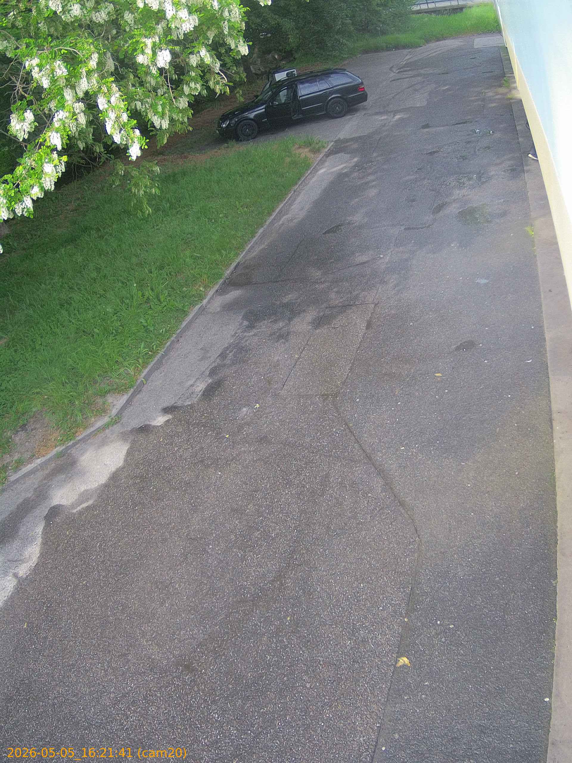 thumbnail_20260505162141