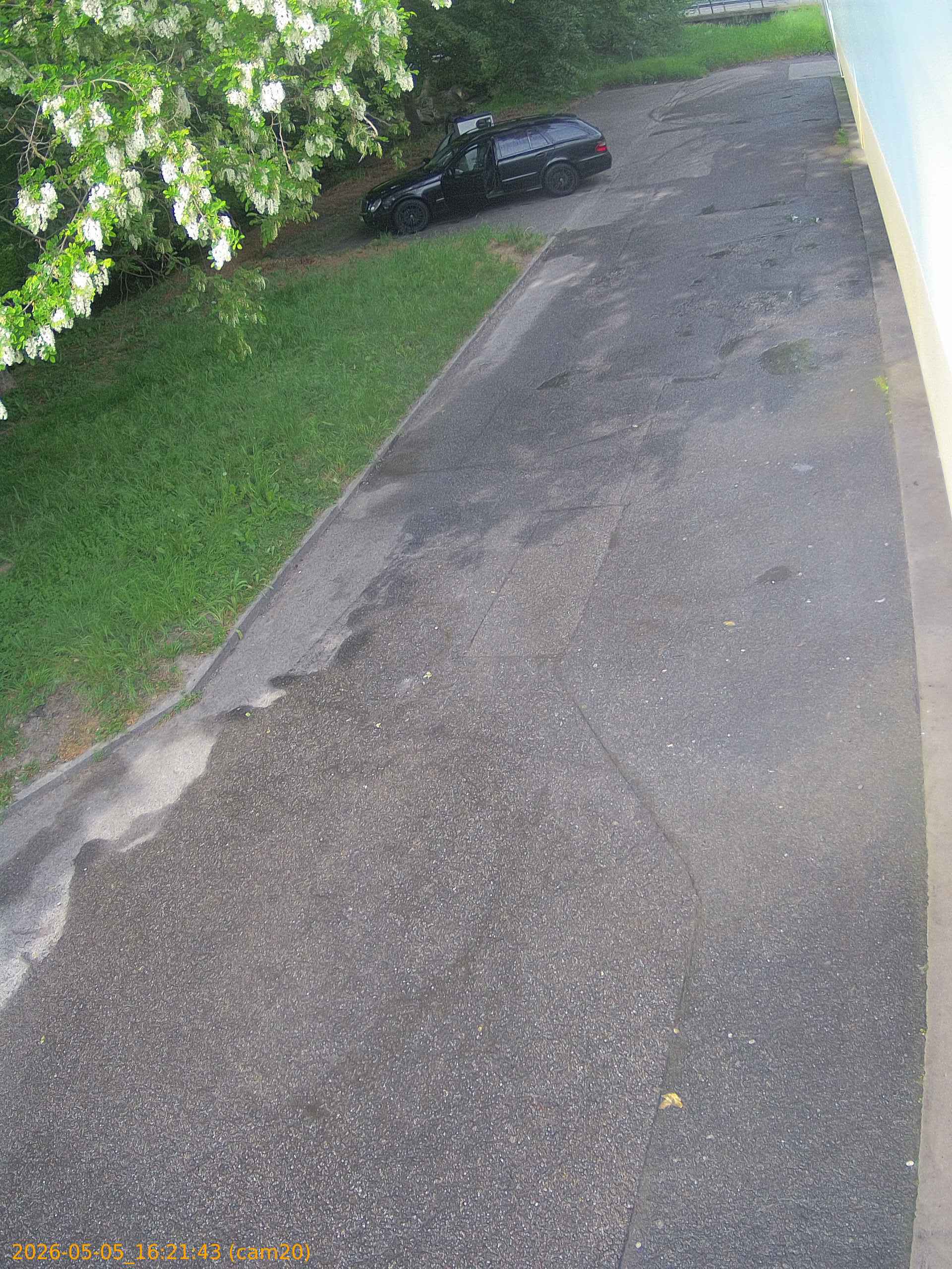 thumbnail_20260505162143