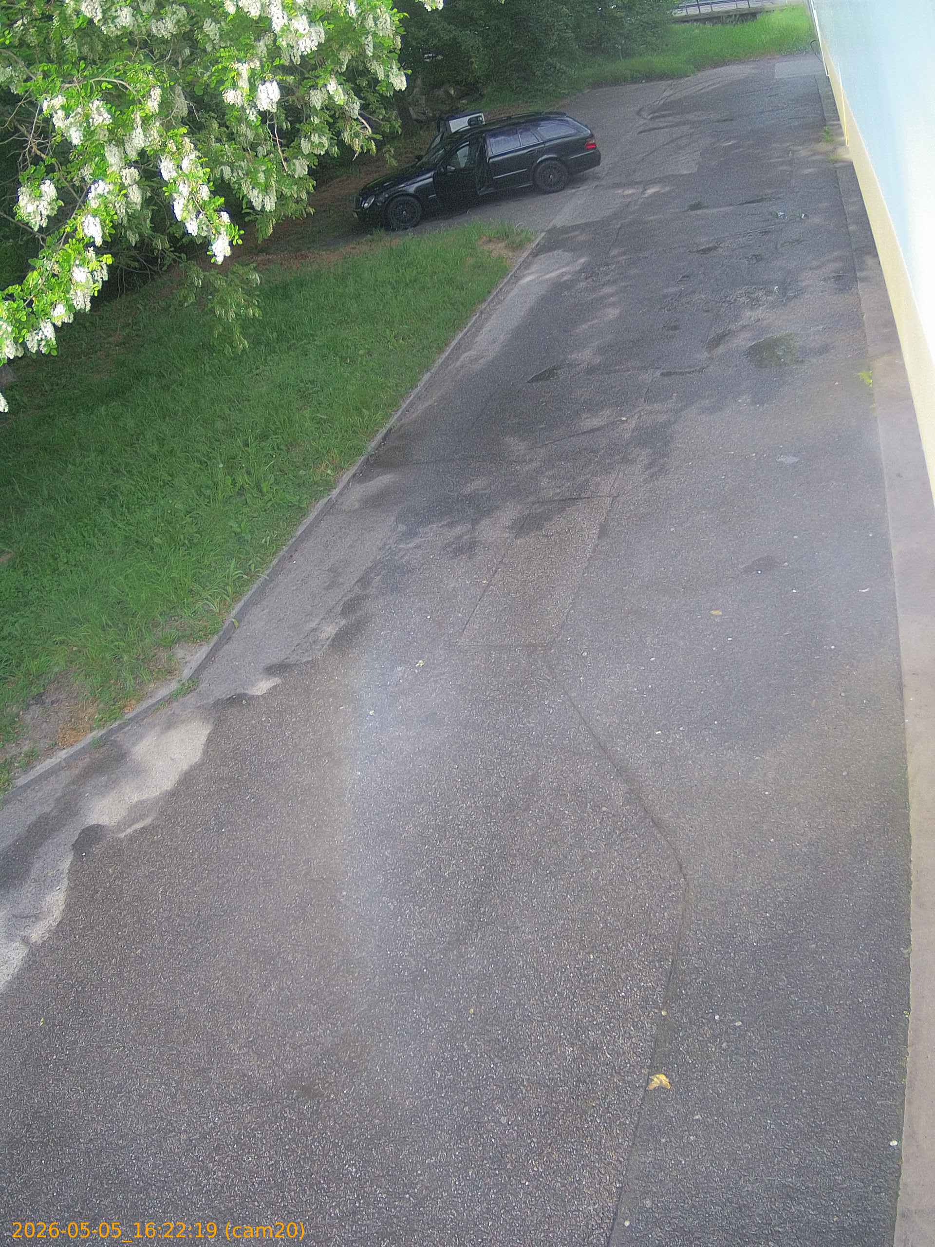 thumbnail_20260505162219