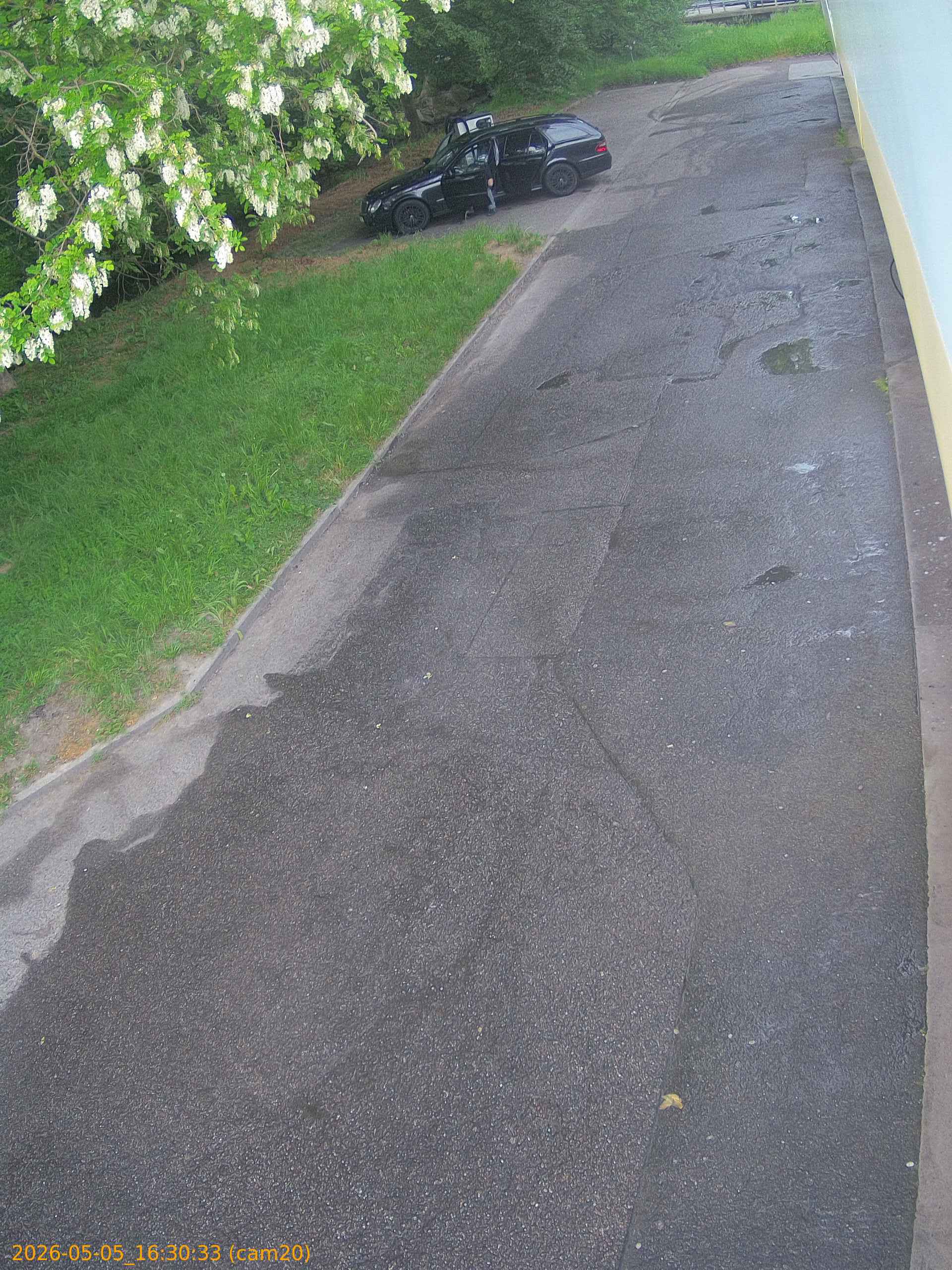 20260505163033