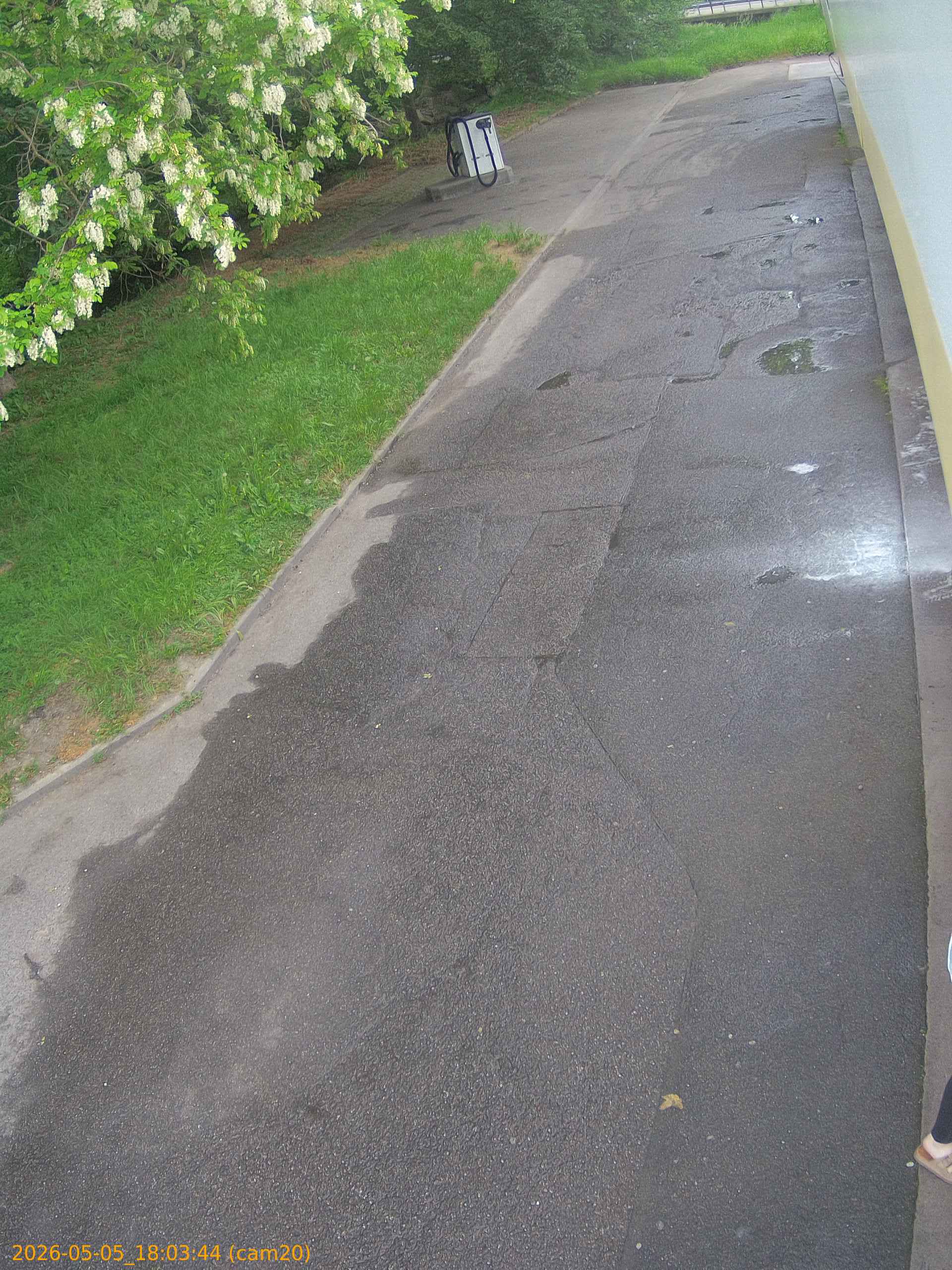 thumbnail_20260505180344