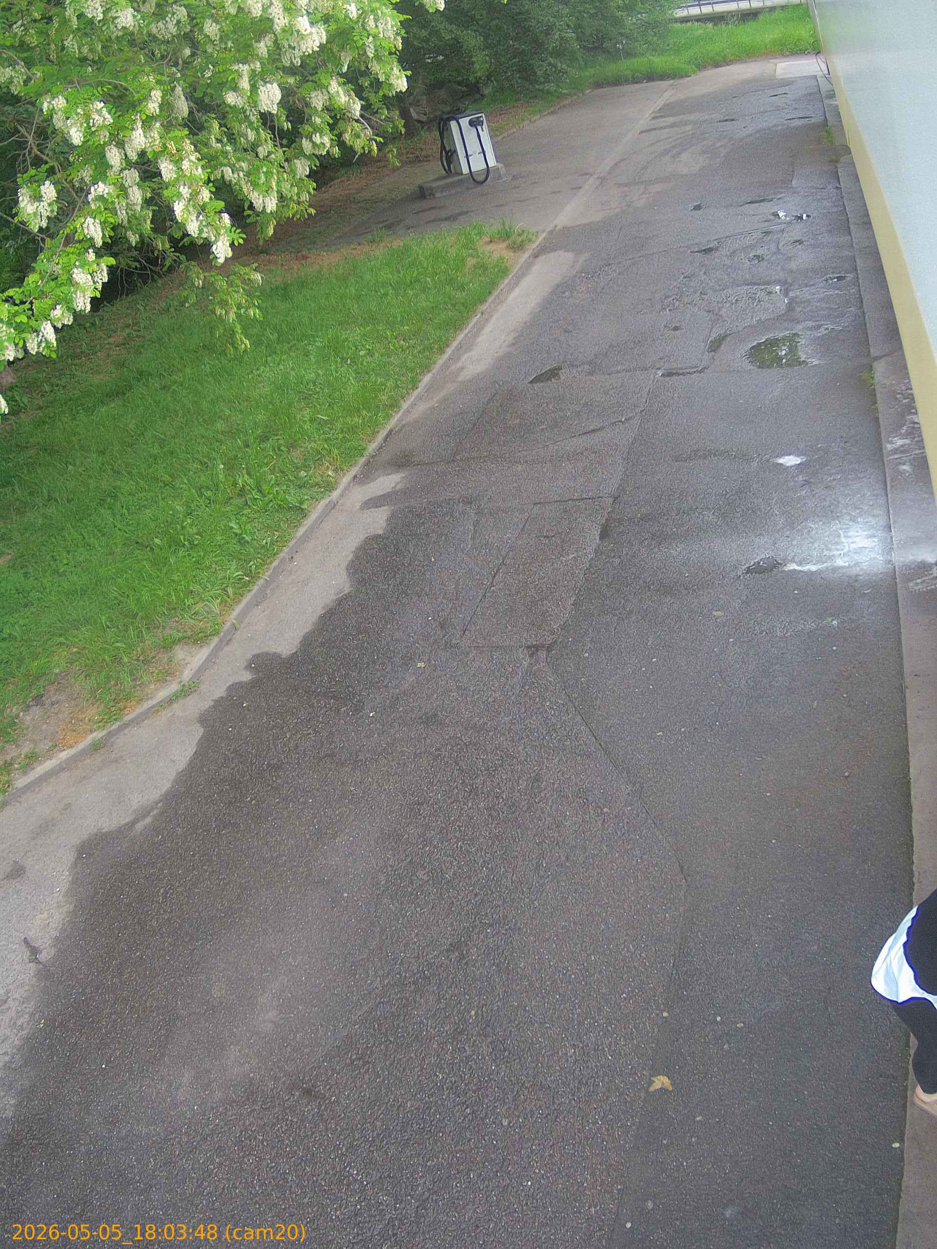 thumbnail_20260505180348