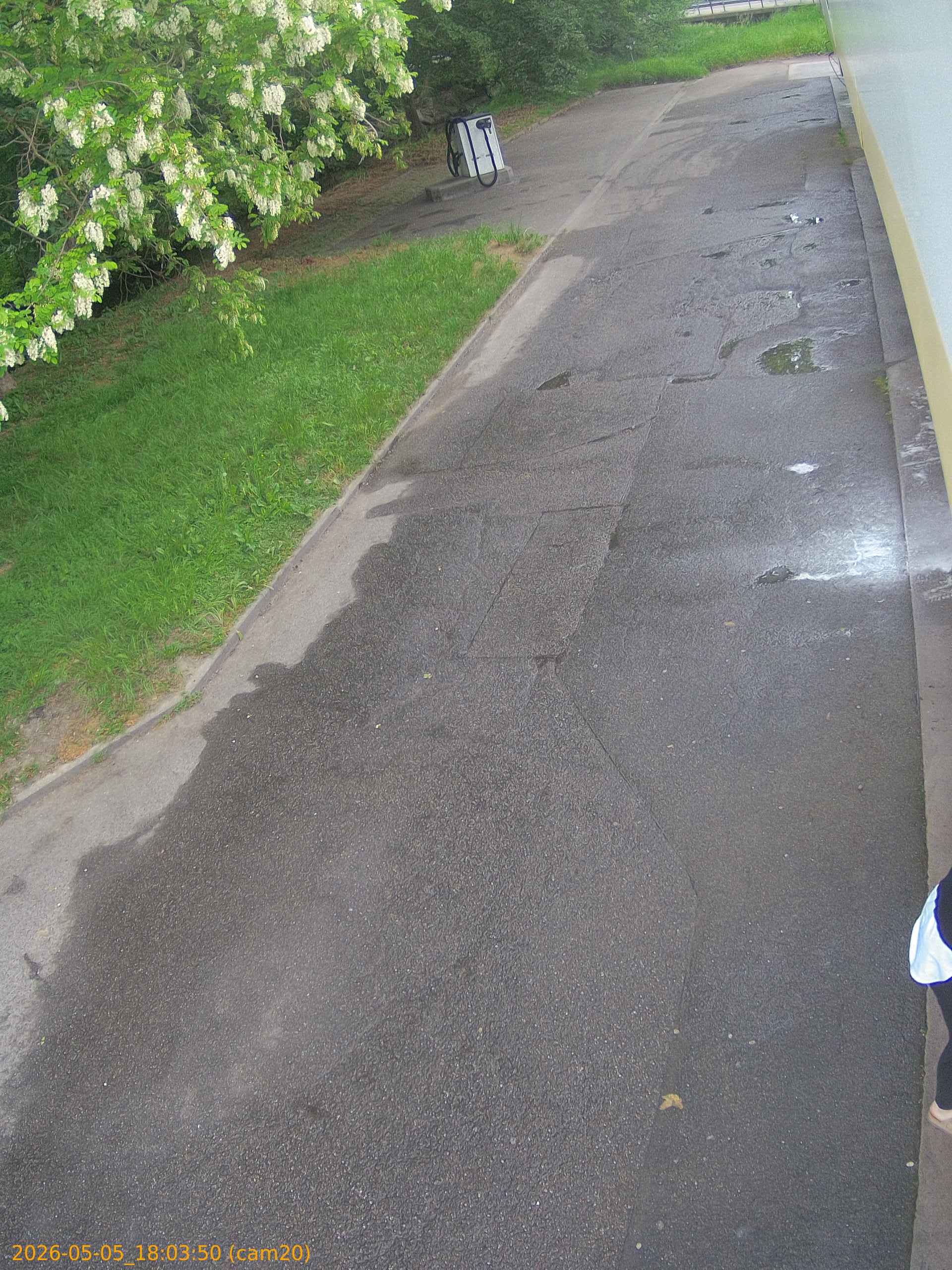 thumbnail_20260505180350