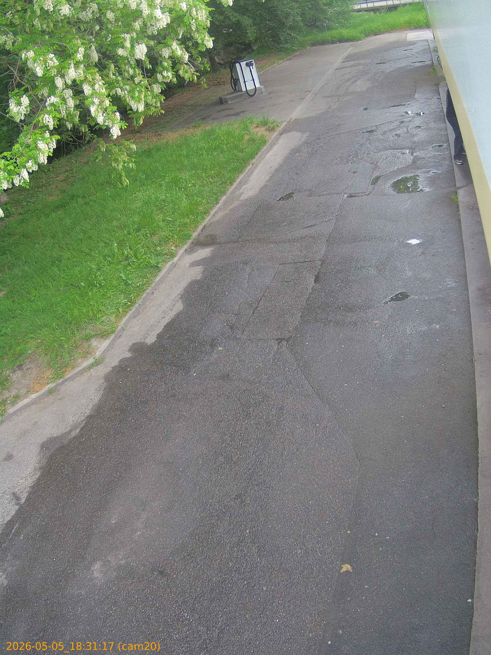 20260505183117