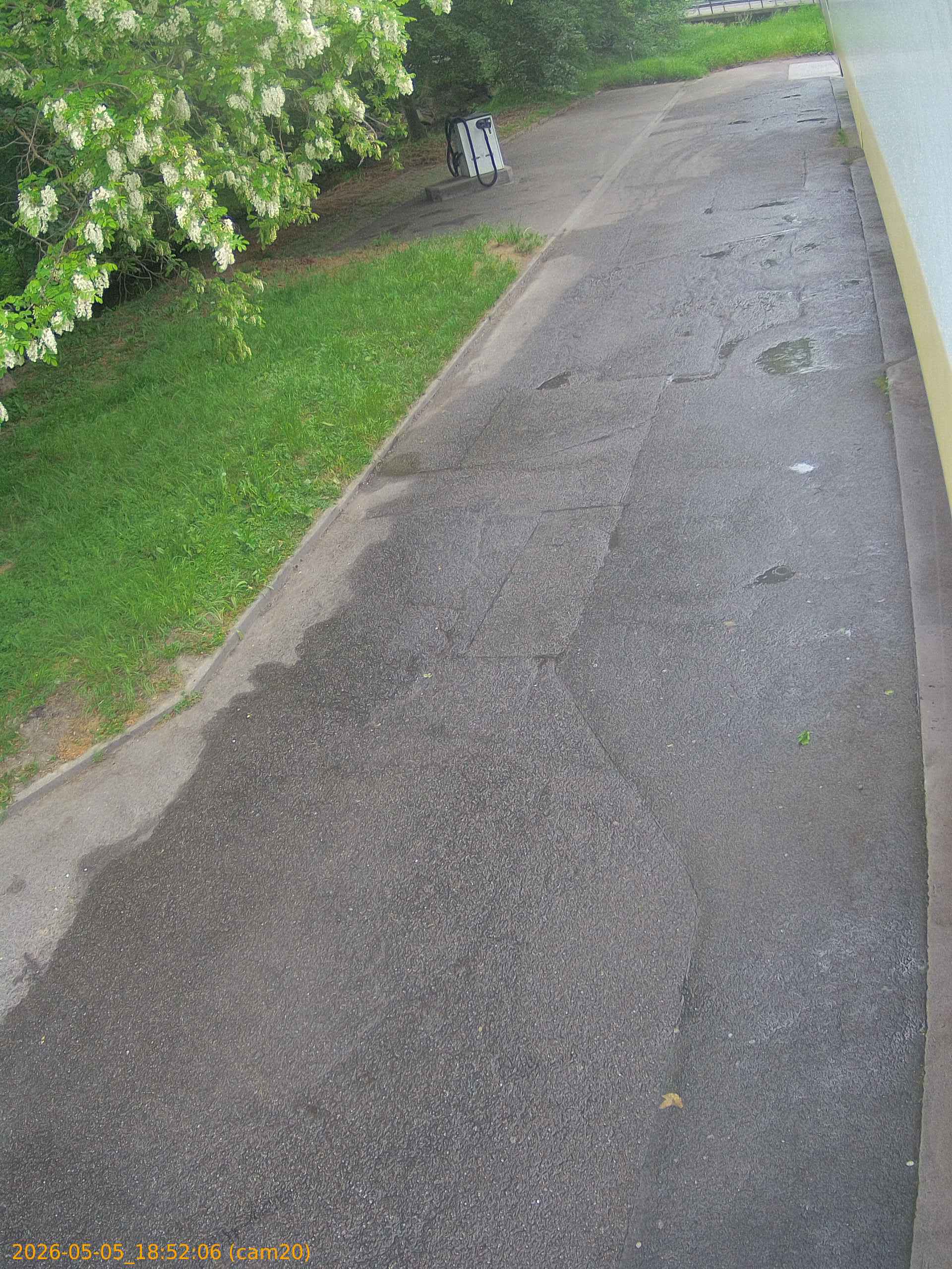 20260505185206