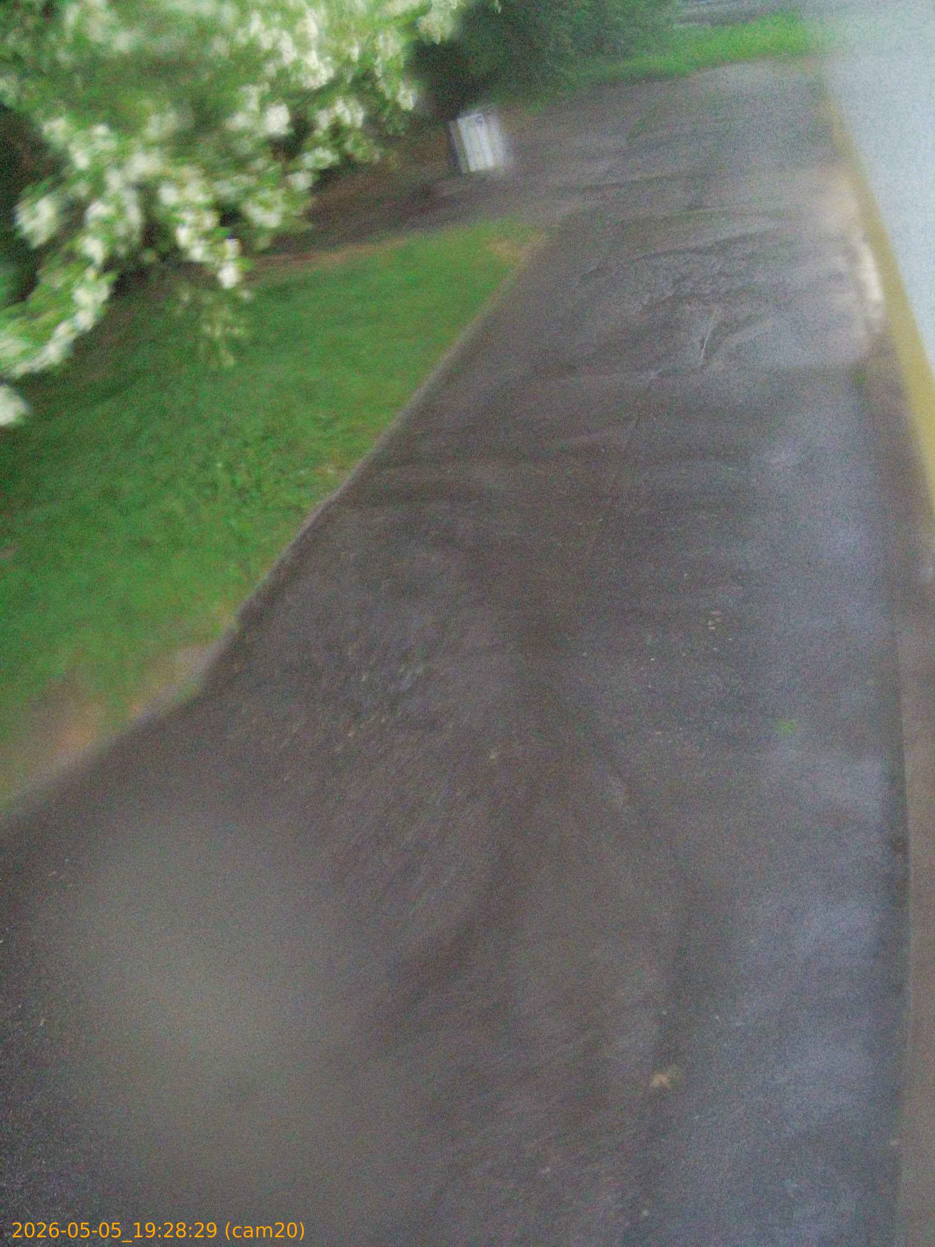 20260505192829