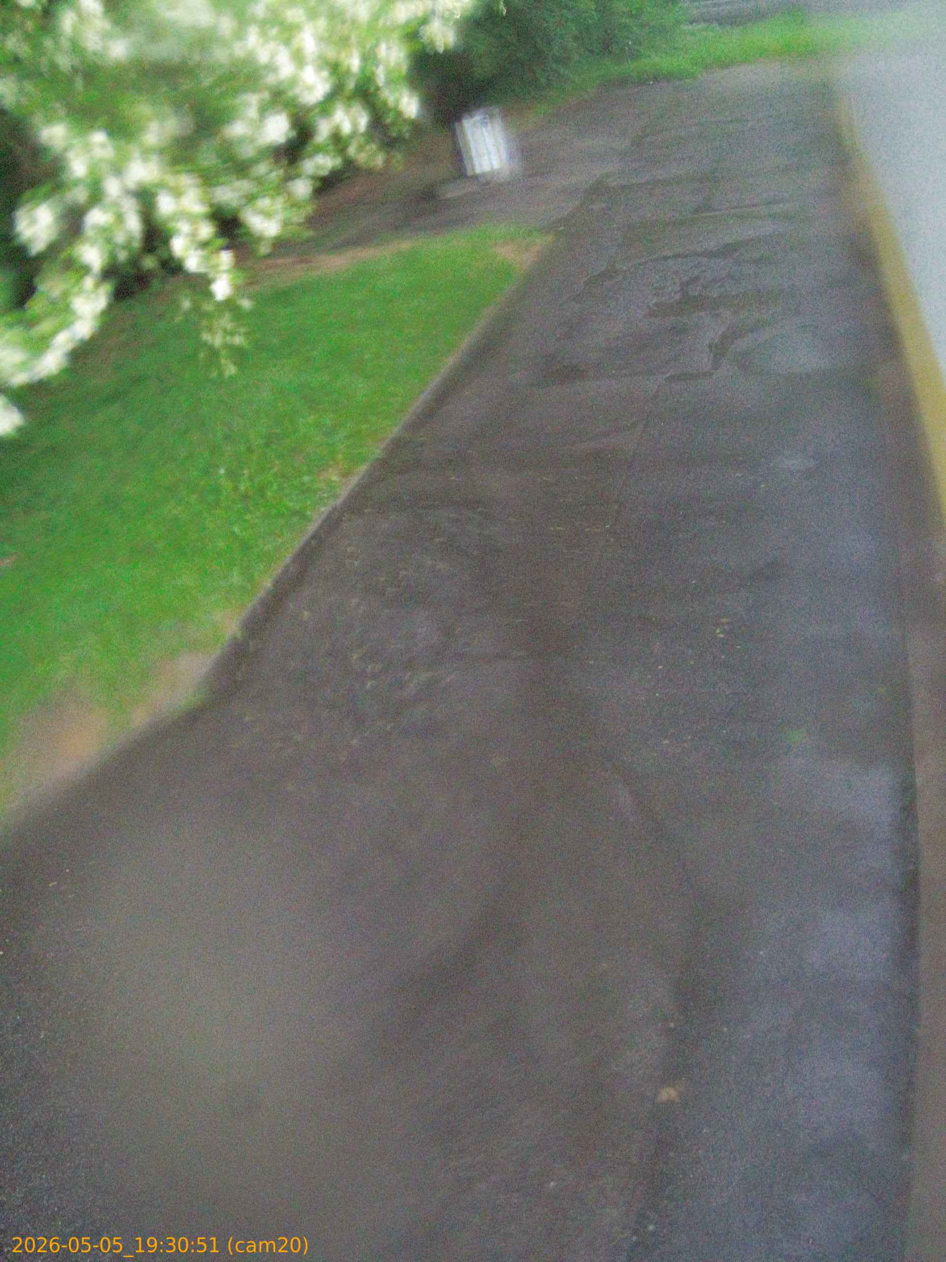 thumbnail_20260505193051