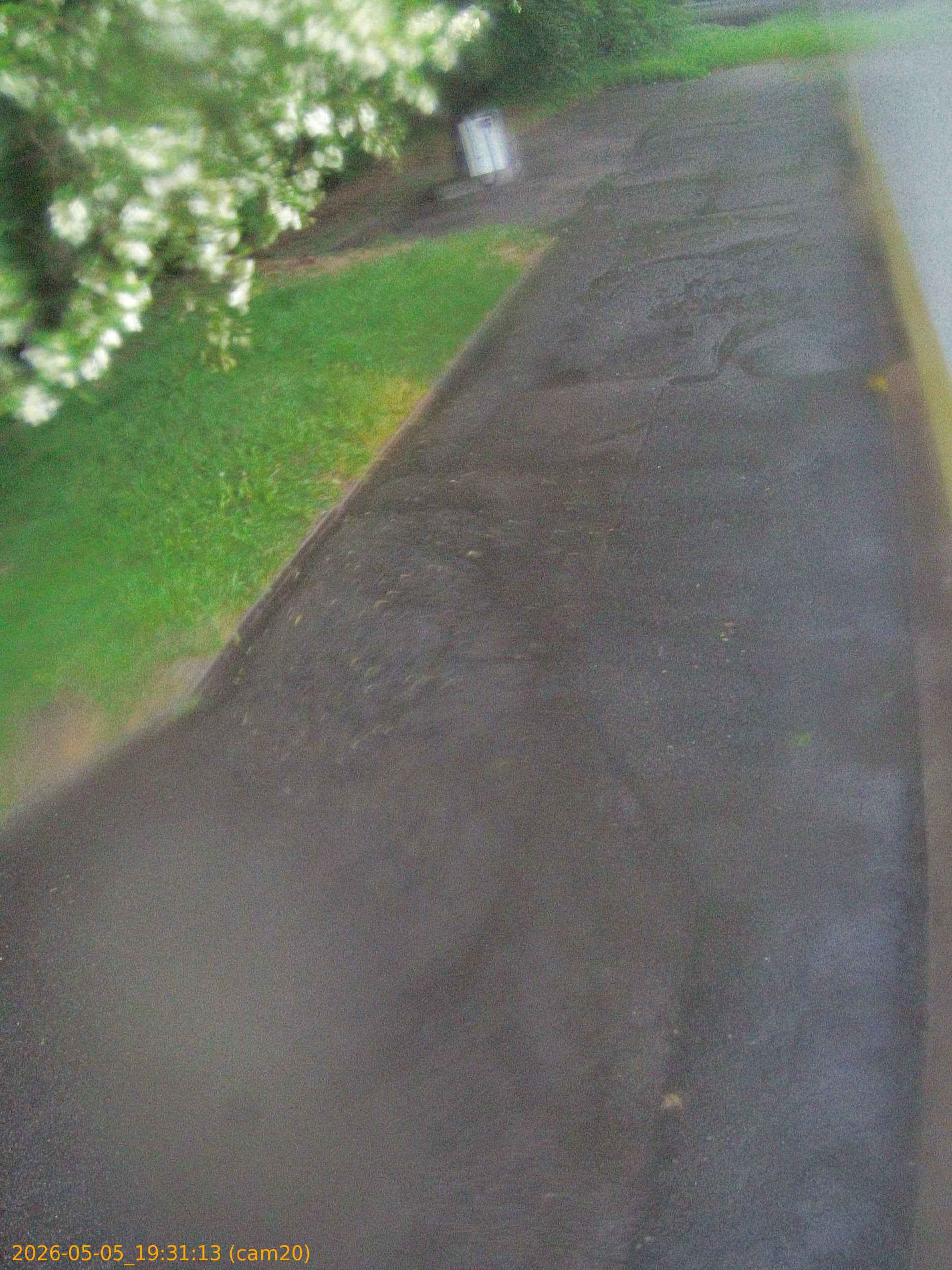20260505193113