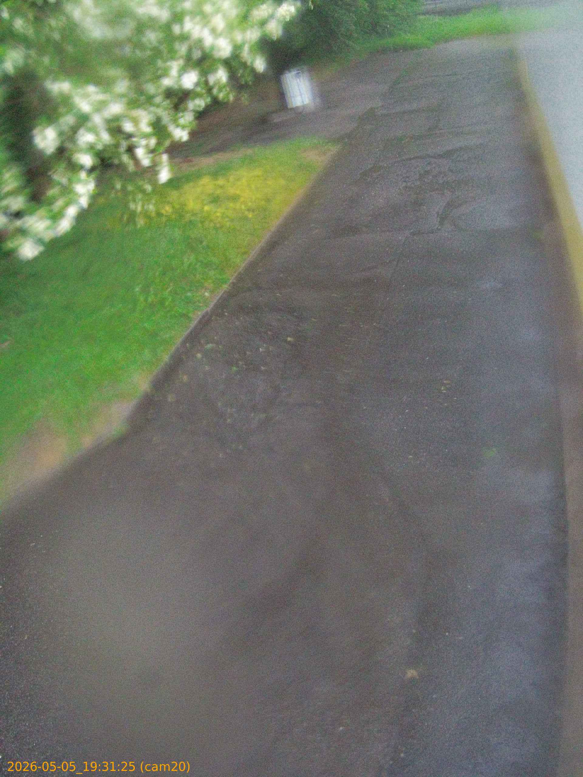 20260505193125