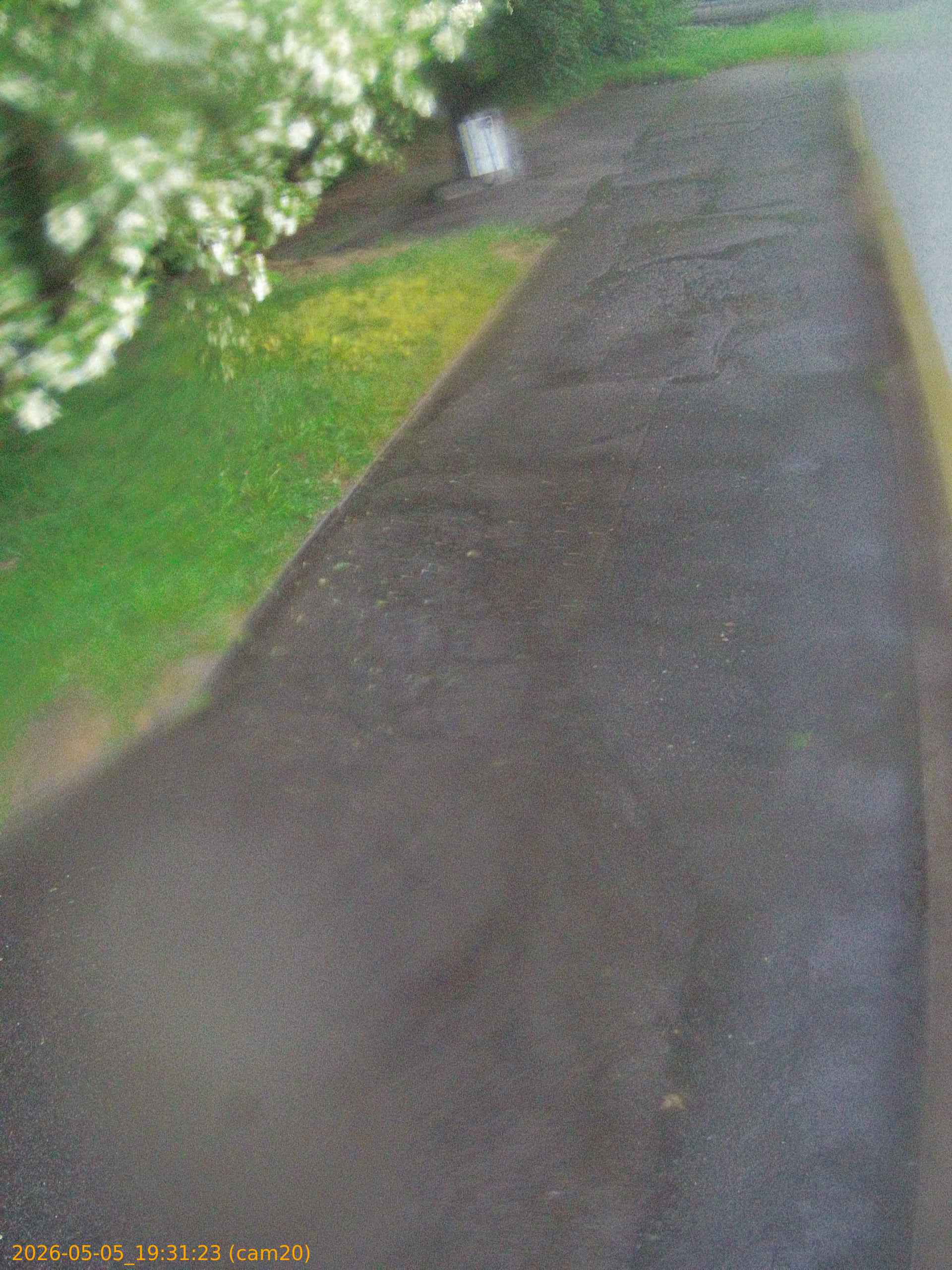 thumbnail_20260505193123