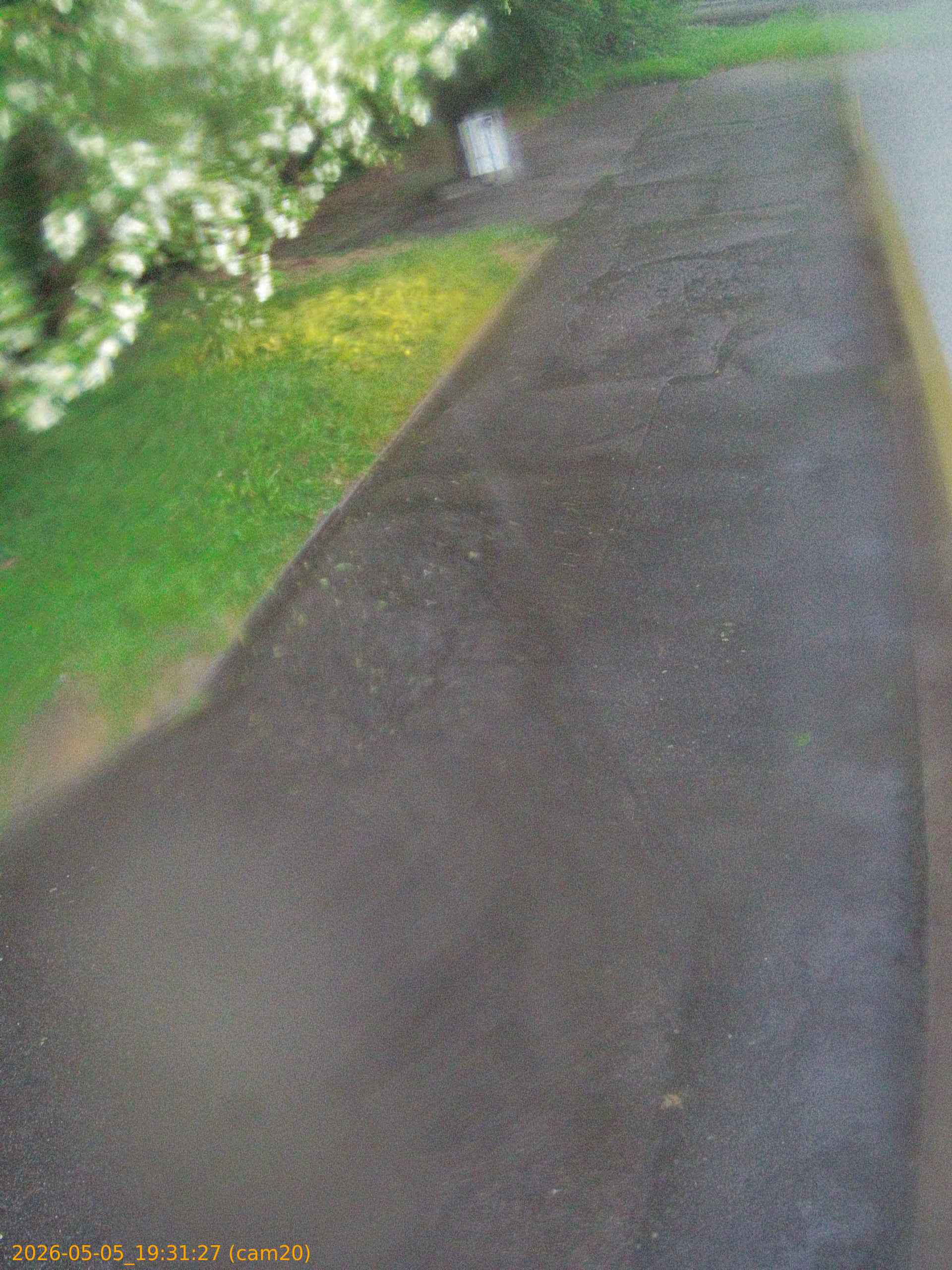 thumbnail_20260505193127