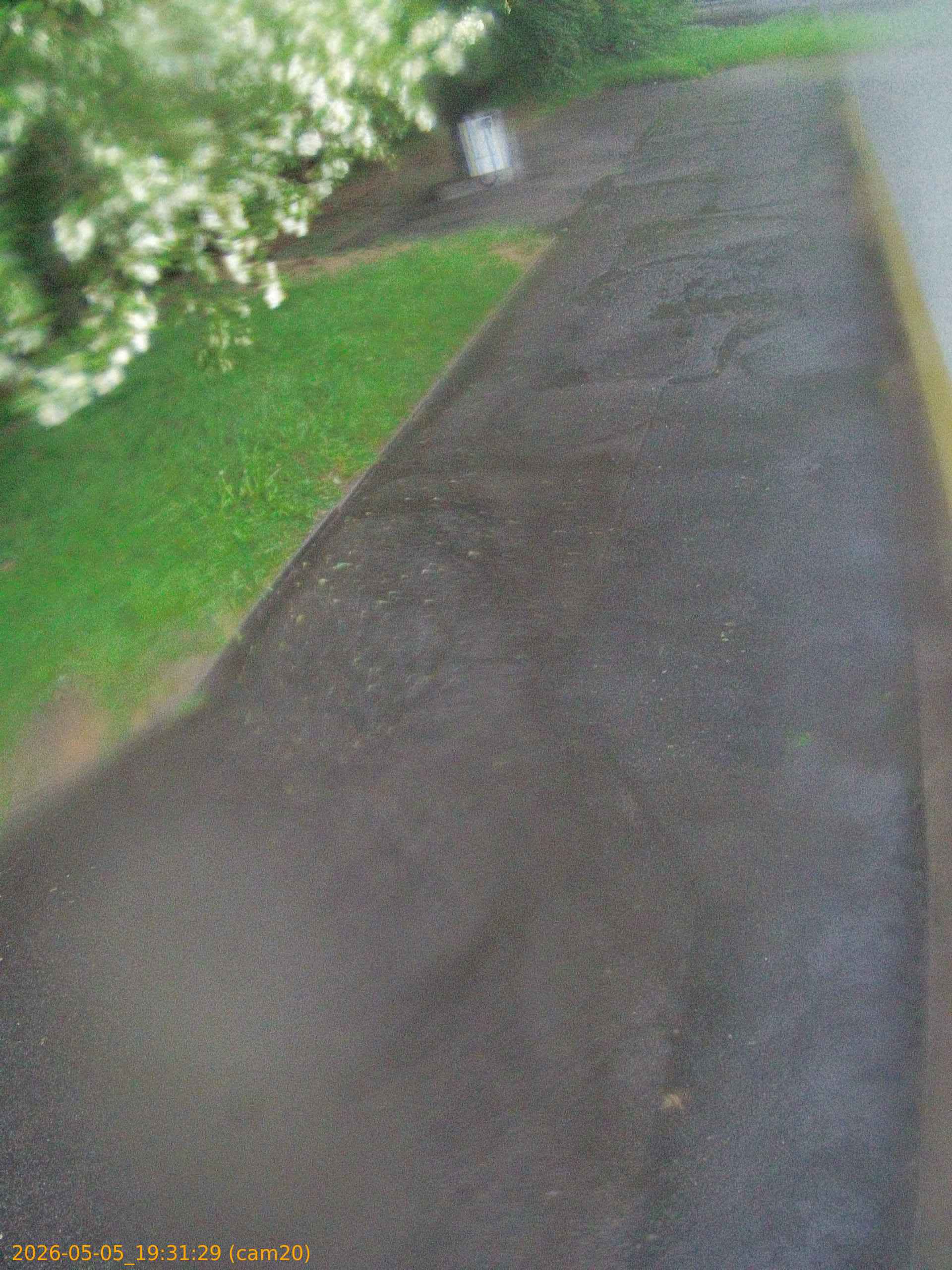 thumbnail_20260505193129