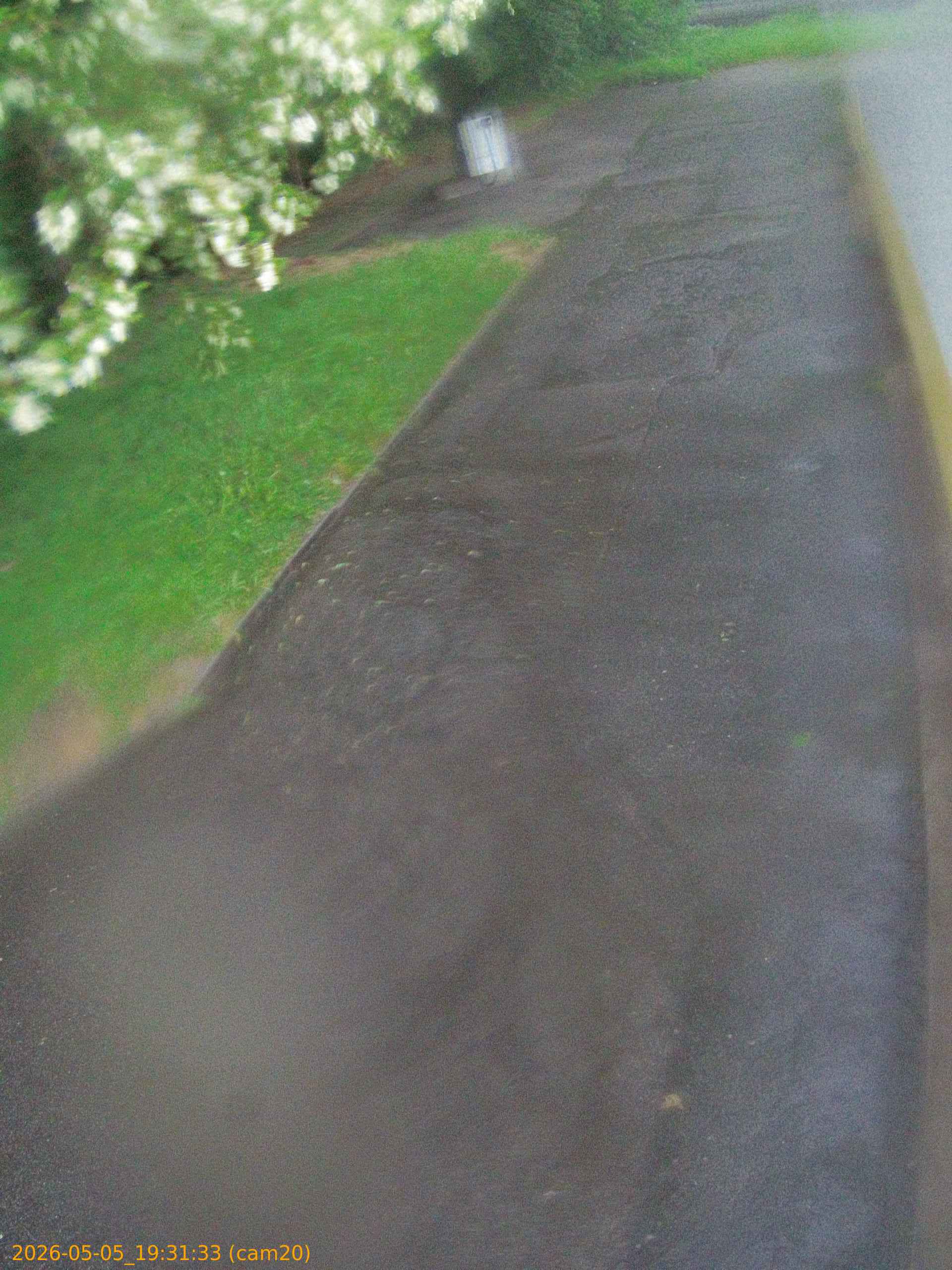 thumbnail_20260505193133